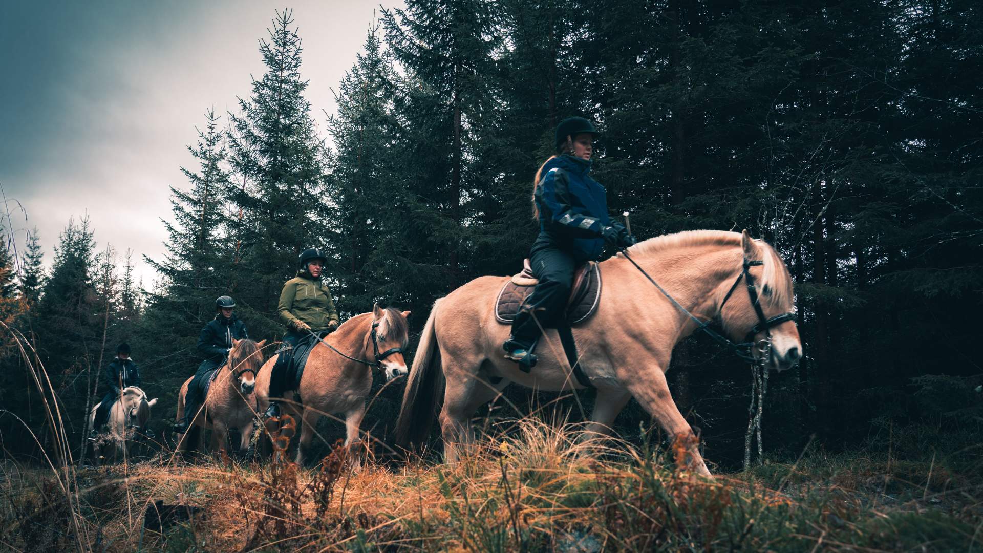 Norsk Fjordhestsenter