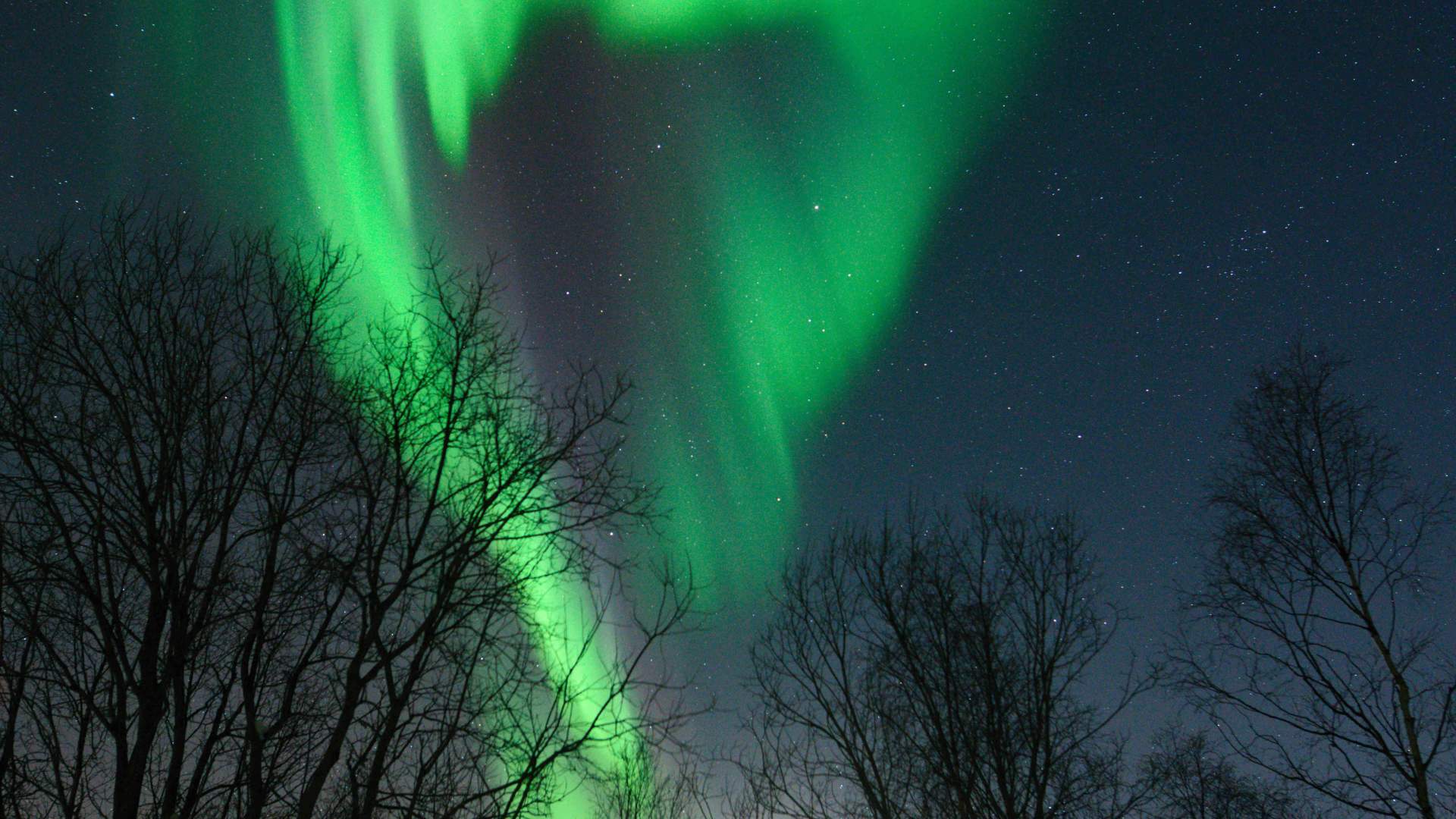 Nordlyshytta med aktiviteter og B&B