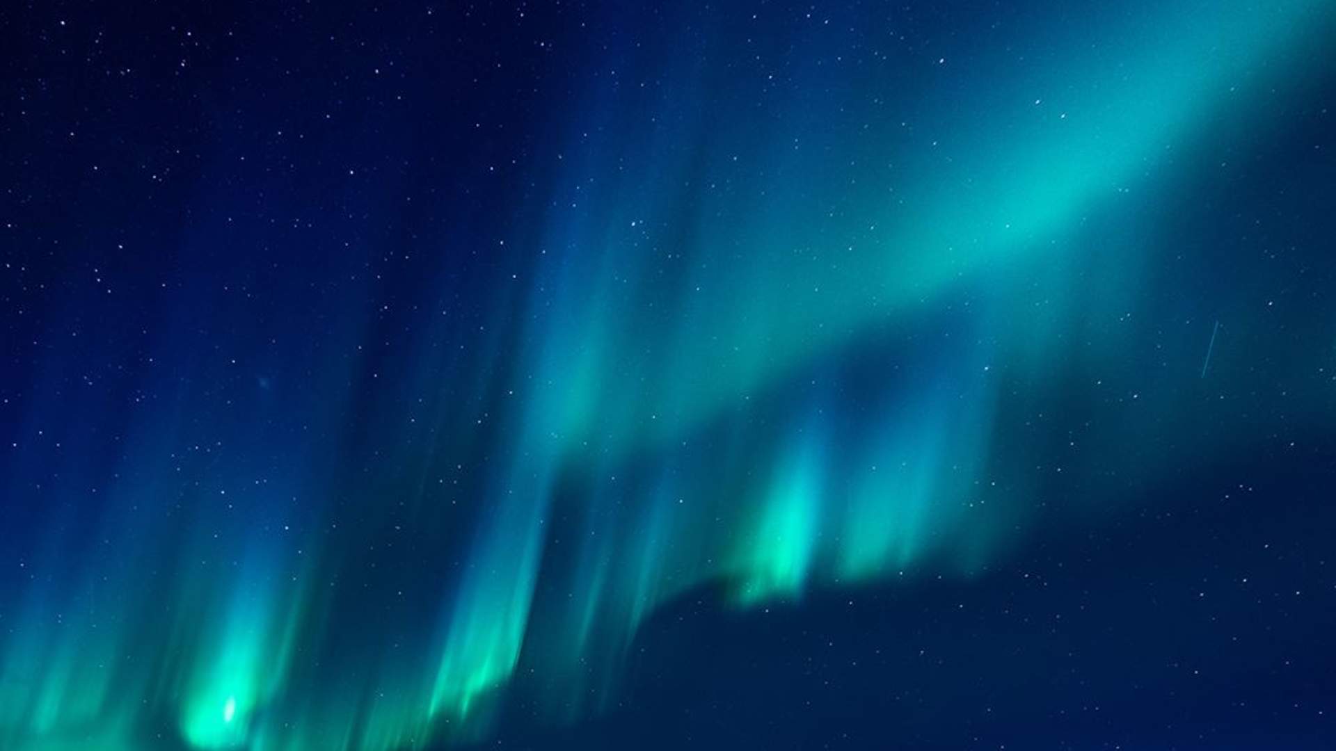 Hundekjøring med nordlysseremoni