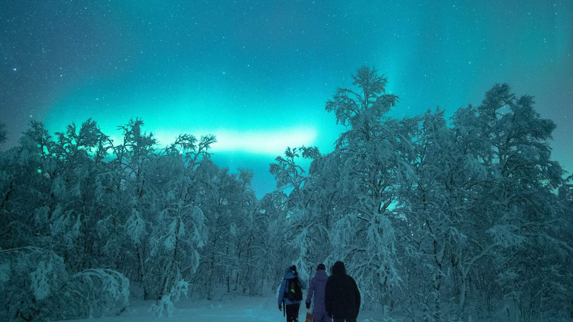 Ånderdalen Nasjonalpark - guidet trugetur