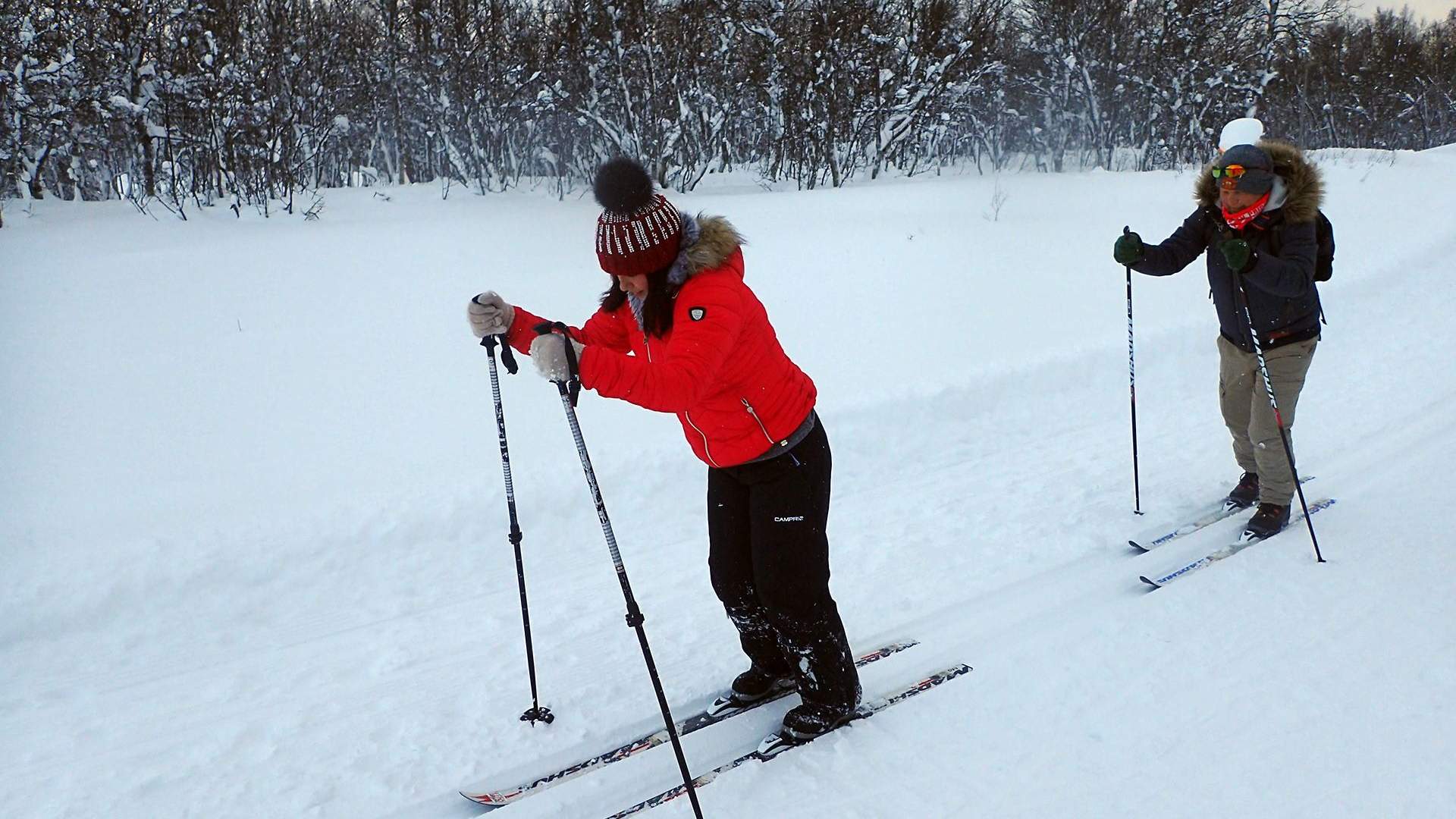 Guided cross country ski trip in Tromsø - beginner ski course