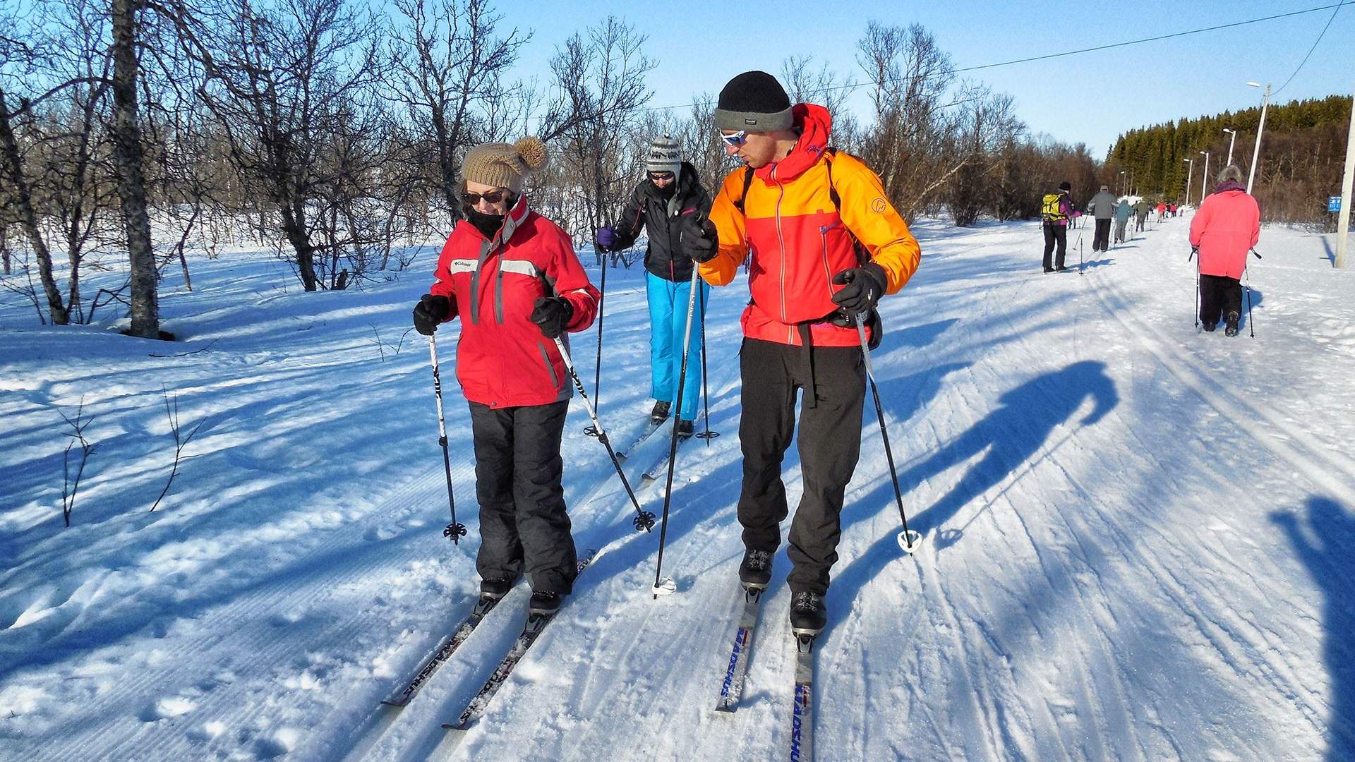 Guided cross country ski trip in Tromsø - beginner ski course