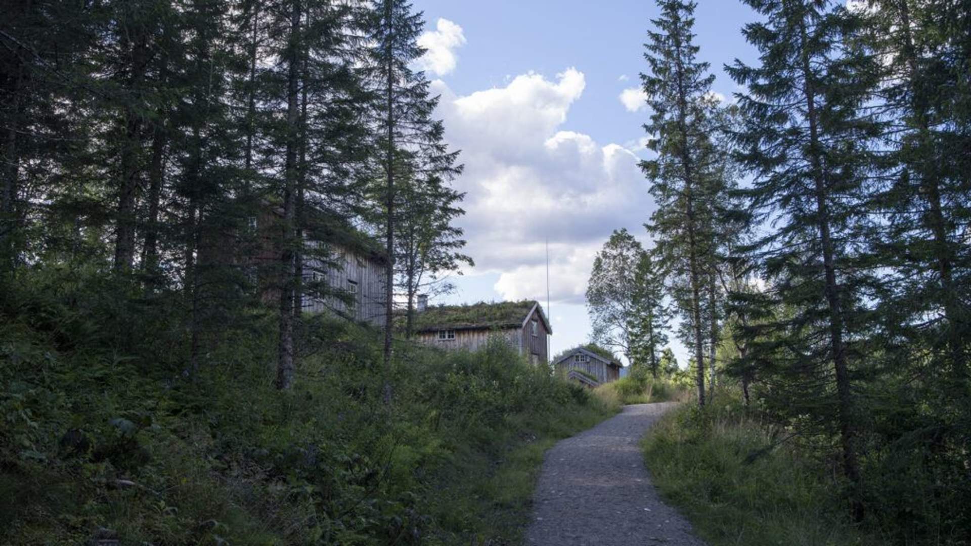 Velfjord/Brønnøy museum