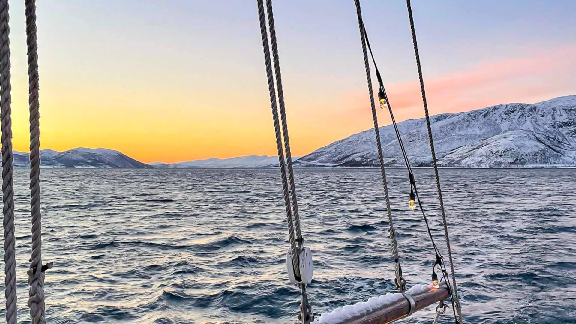 Fishing- and Fjord Cruise - Hermes II
