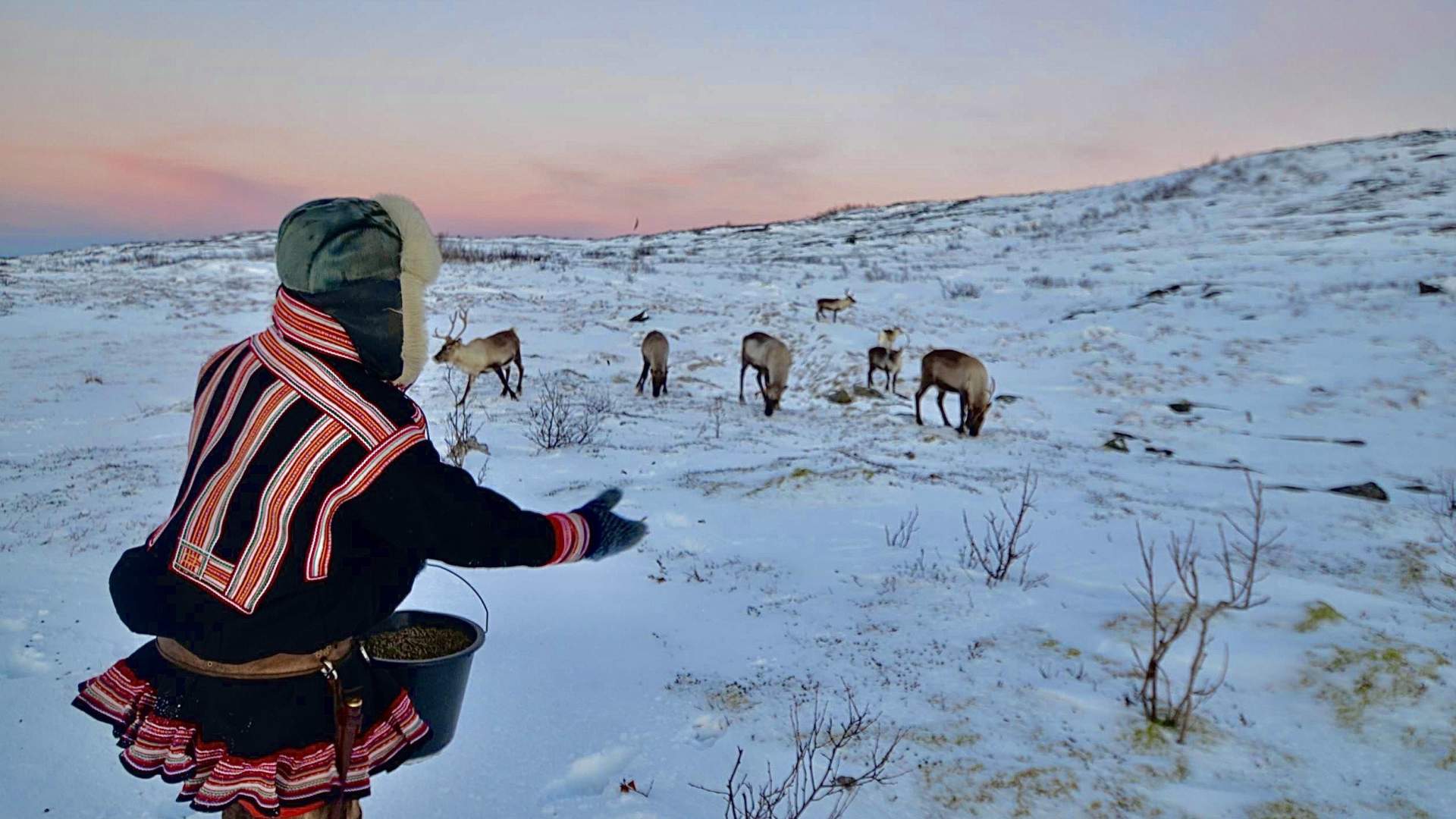 Arctic Fjords and Reindeer Experience &#8211; Small group tour