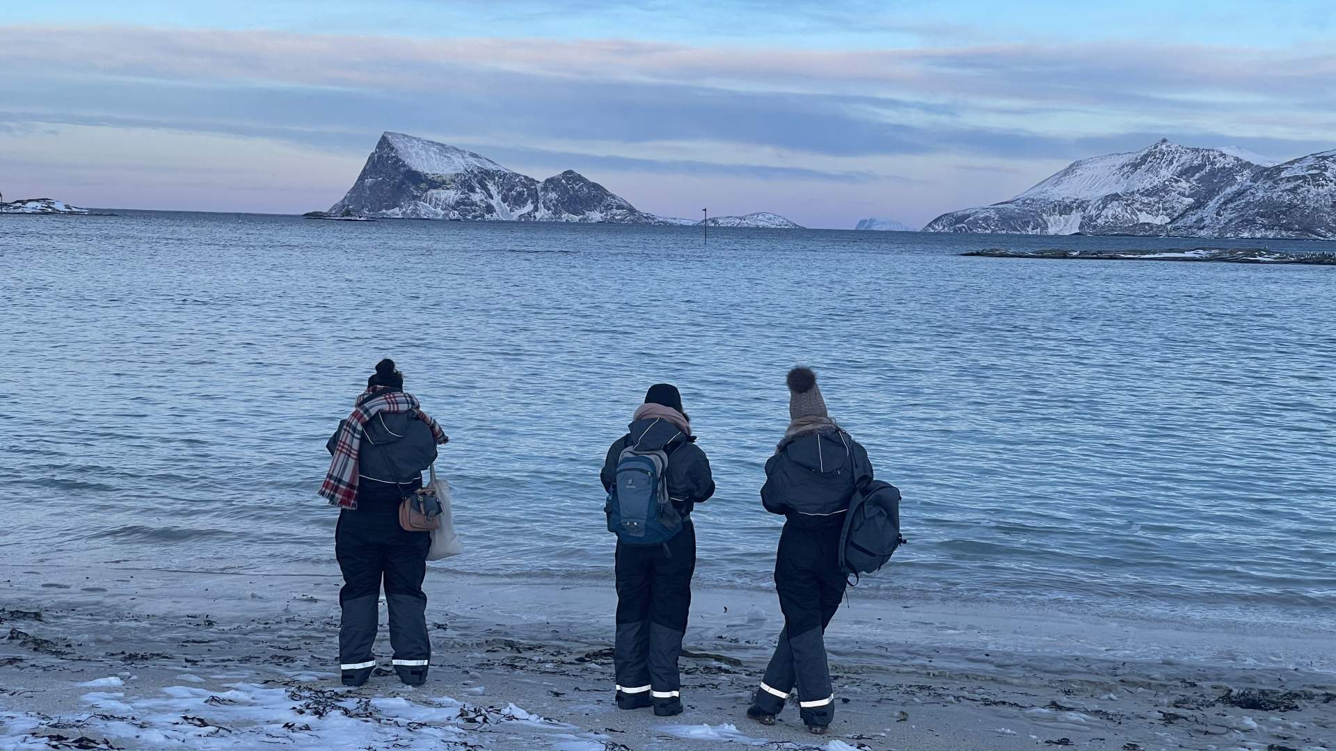 Arctic Fjords and Reindeer Experience &#8211; Small group tour