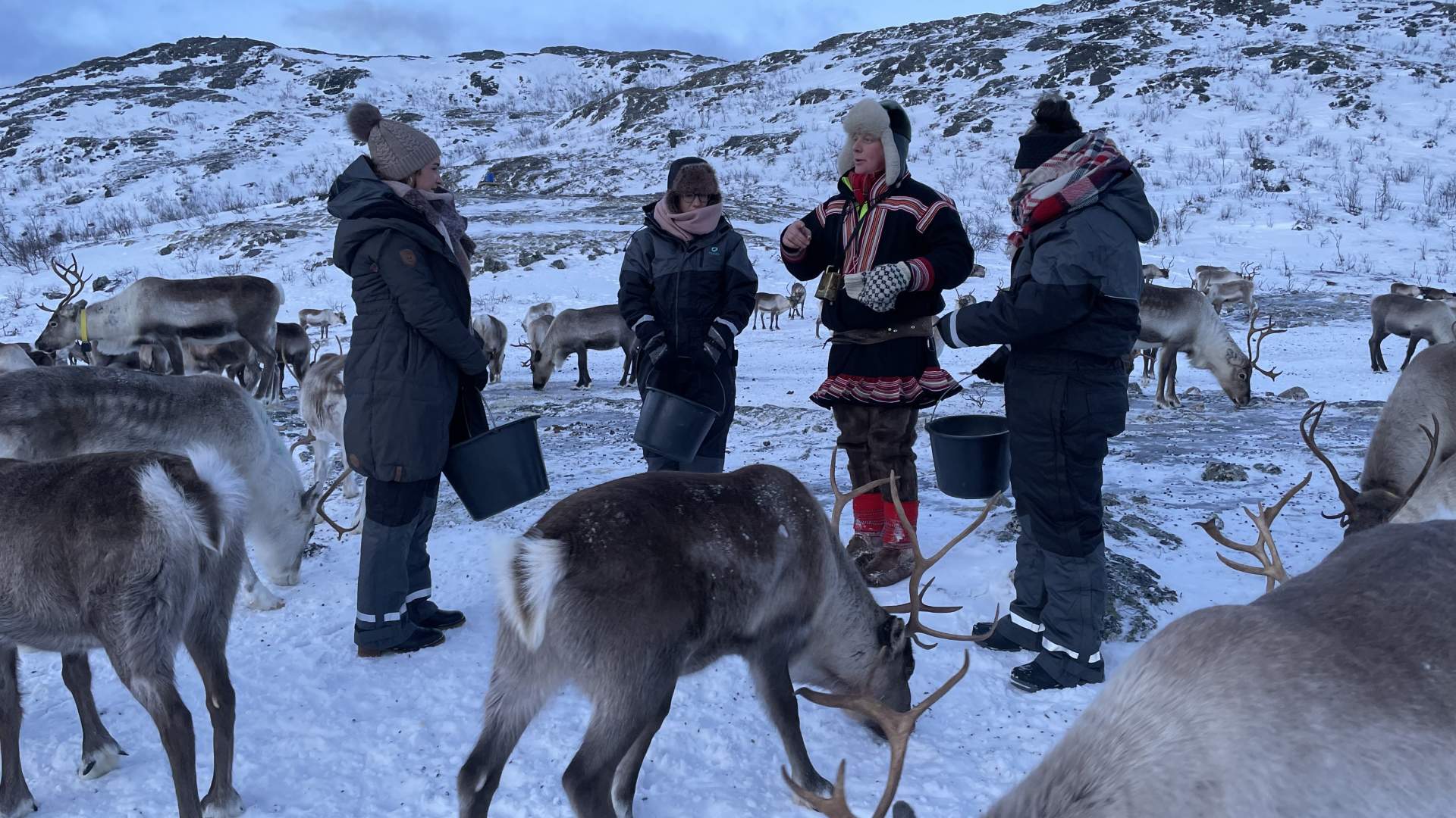 Arctic Fjords and Reindeer Experience &#8211; Small group tour