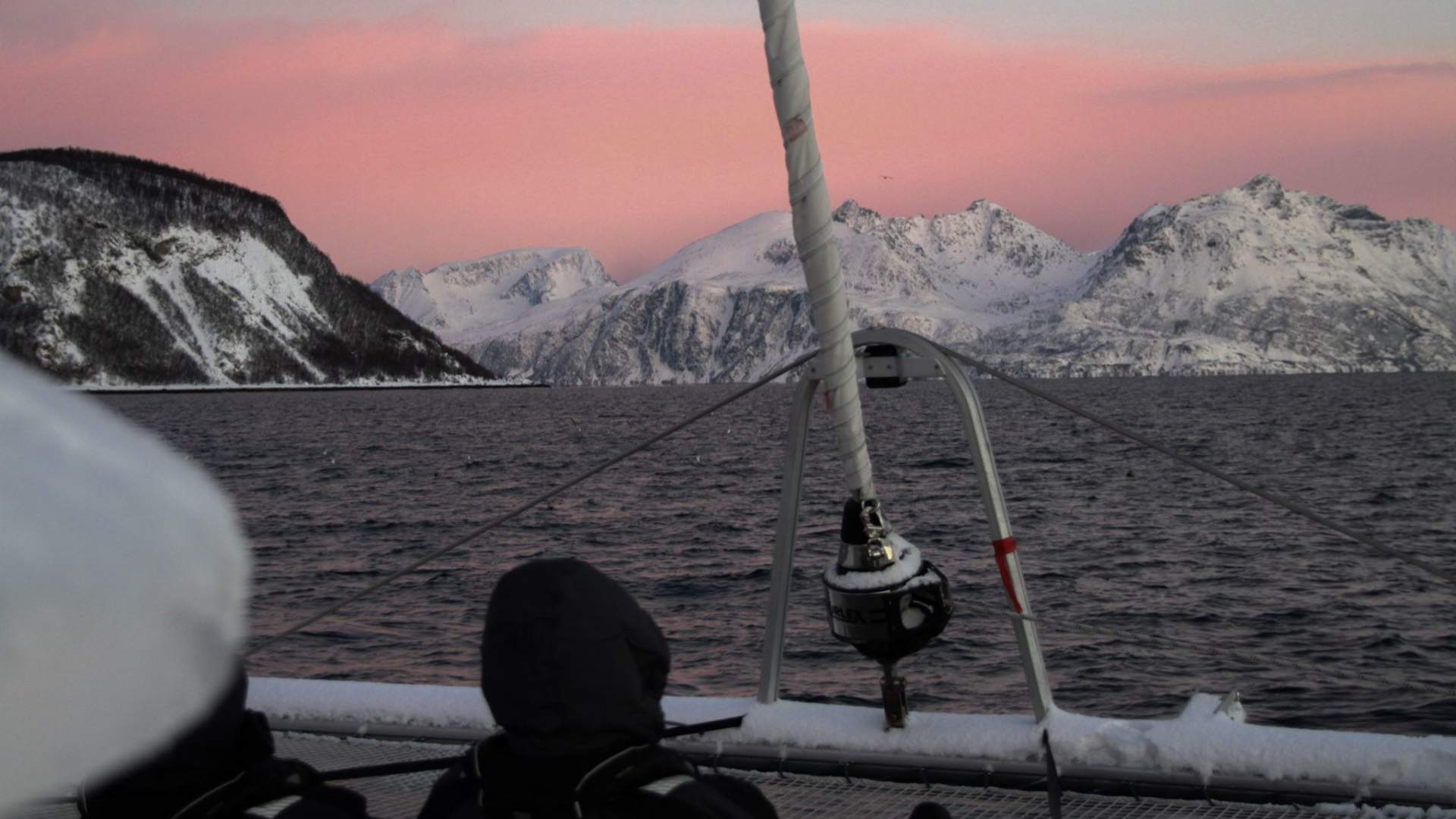 Privat Fjordcruise med katamaran i Tromsø – 3 timer