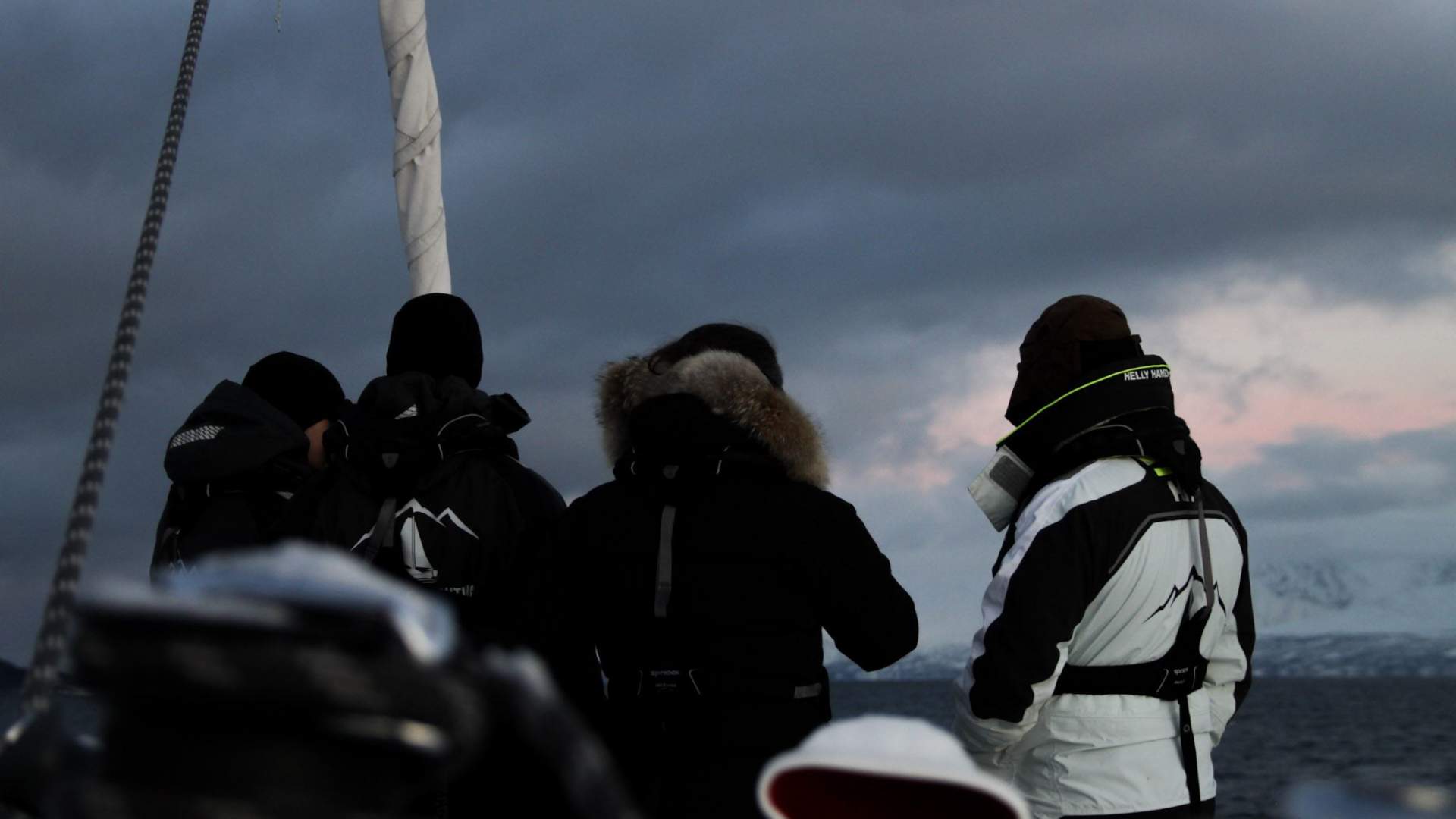 Privat Fjordcruise med katamaran i Tromsø – 3 timer