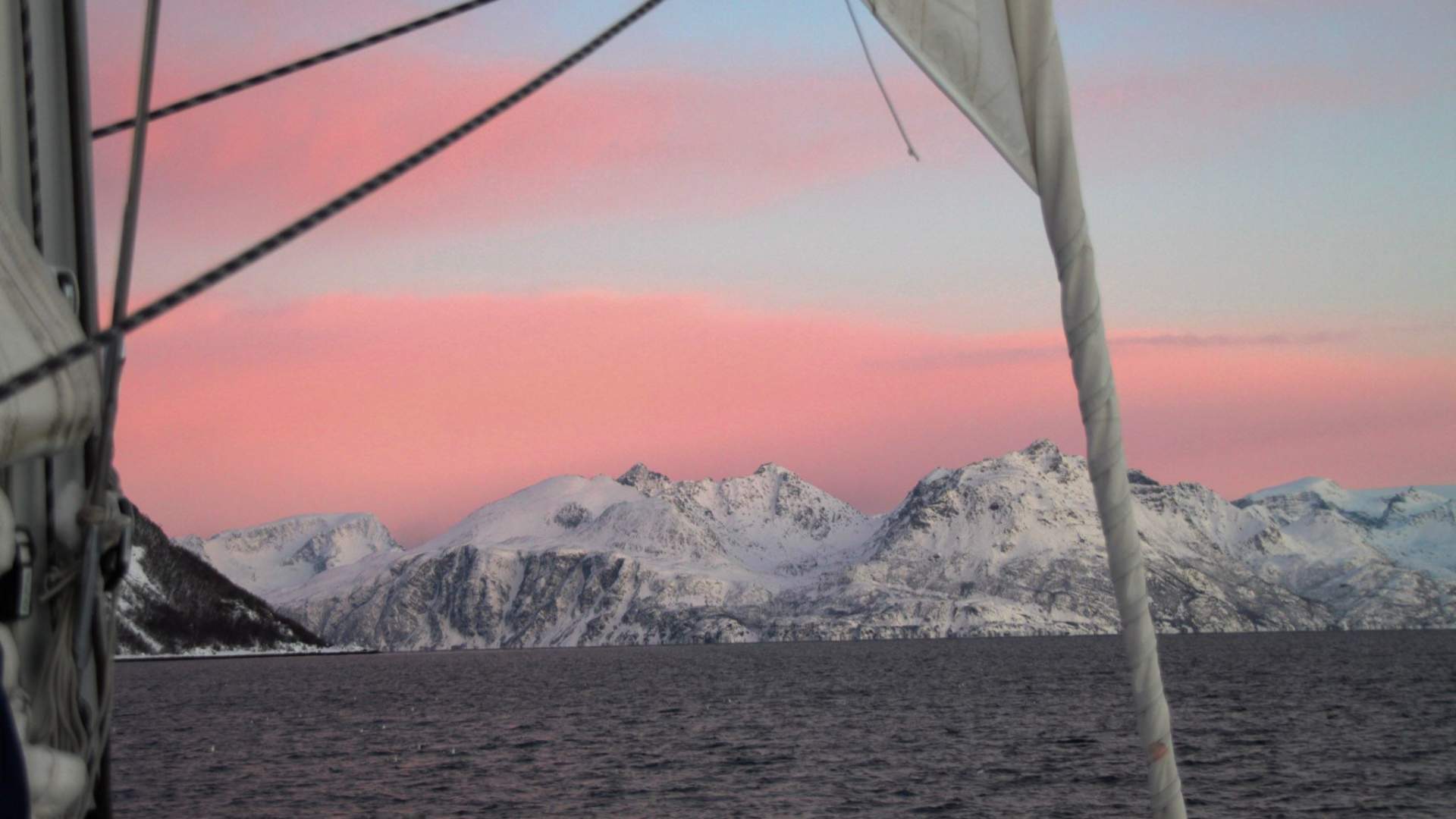 Privat Fjordcruise med katamaran i Tromsø – 3 timer