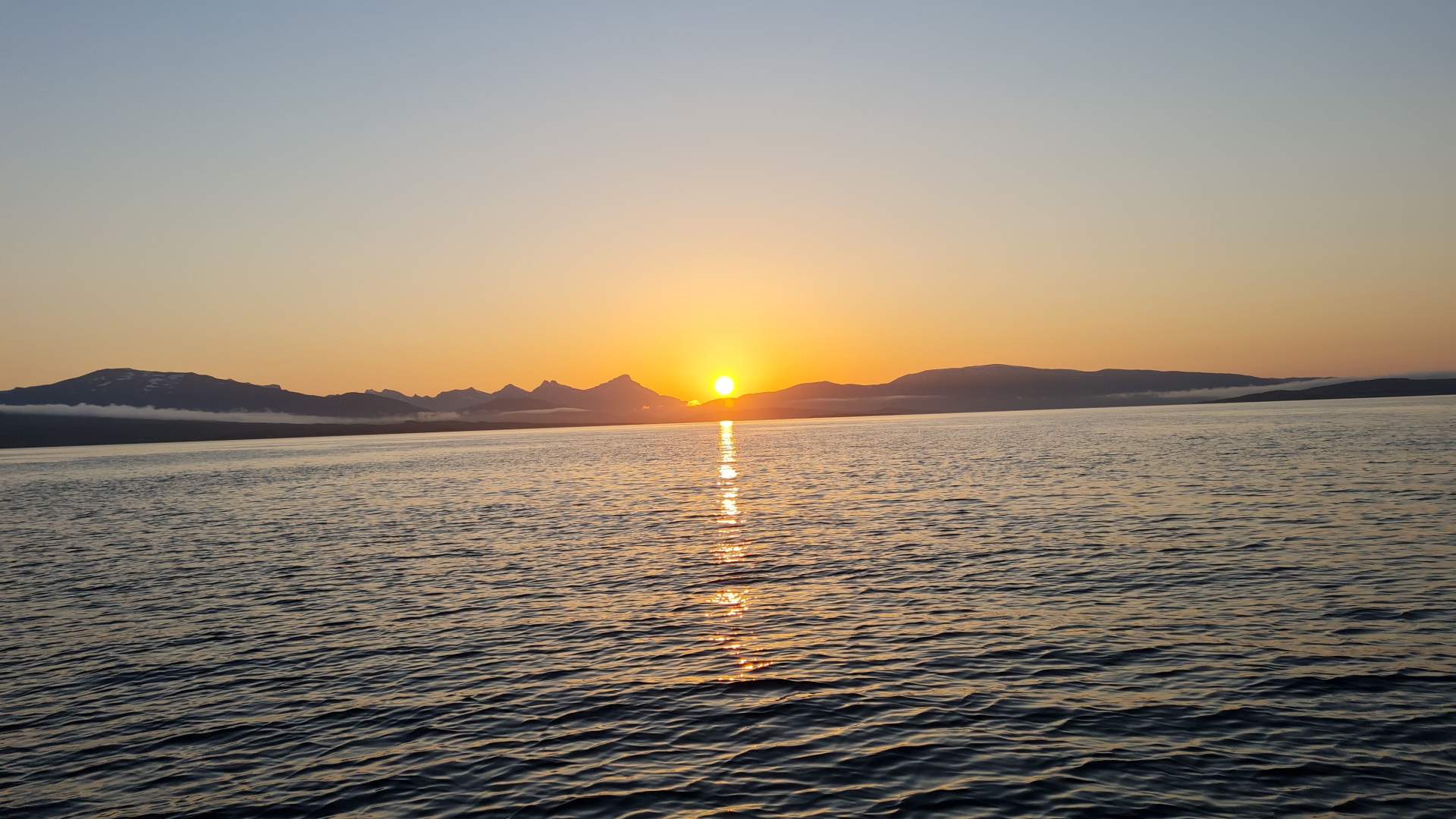 Privat Nordlys safari med katamaran i Tromsø – 4 Timer