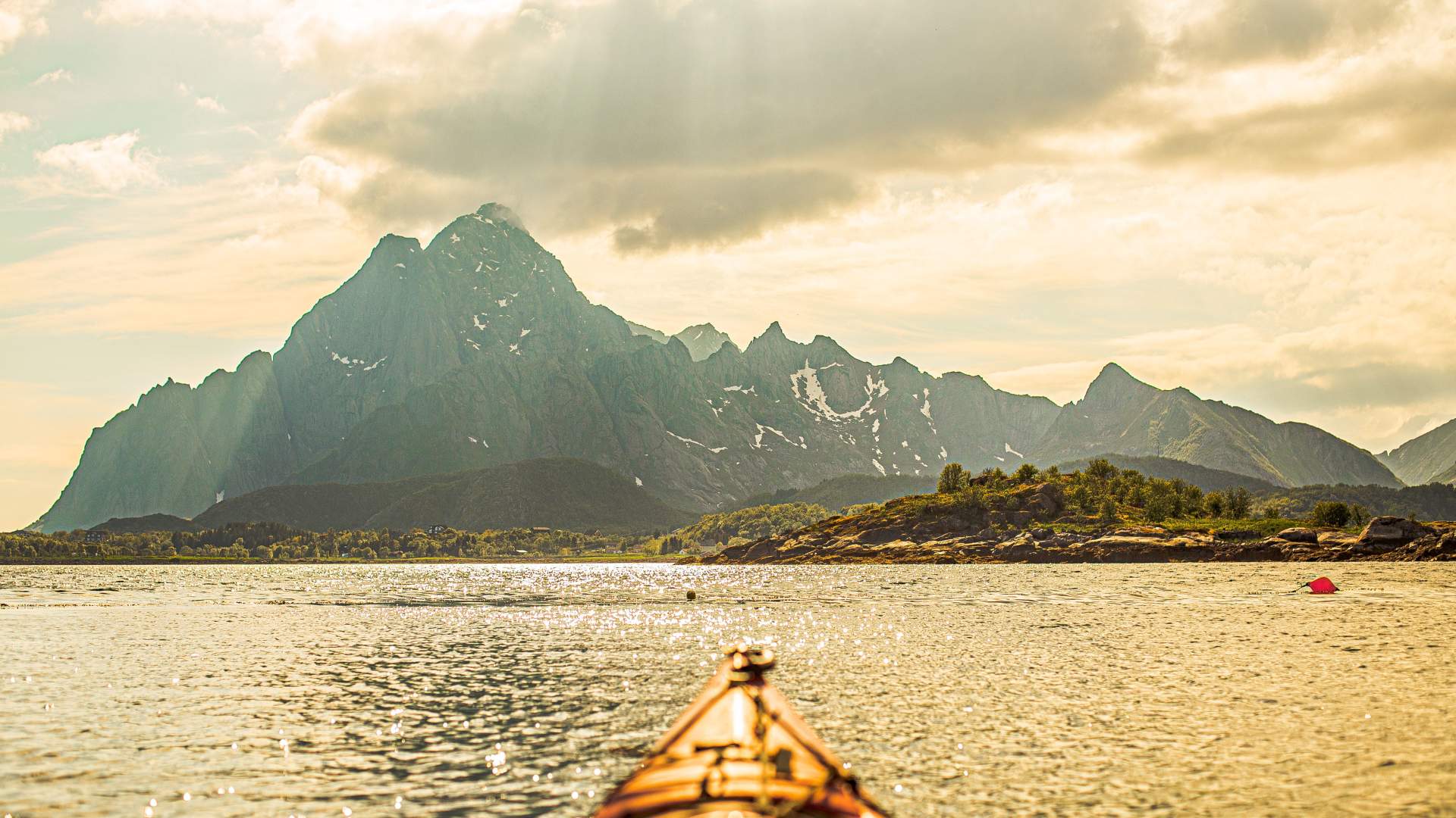 Natursafari i kajakk med XXLofoten