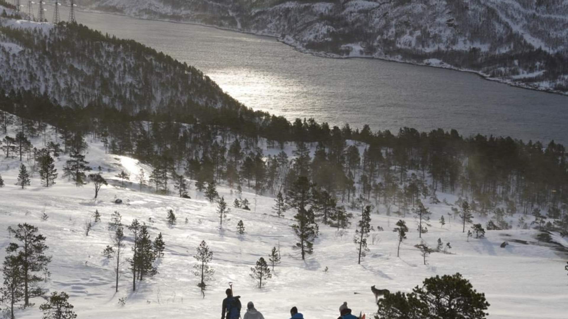 Trugetur langs fjorden + lunsj