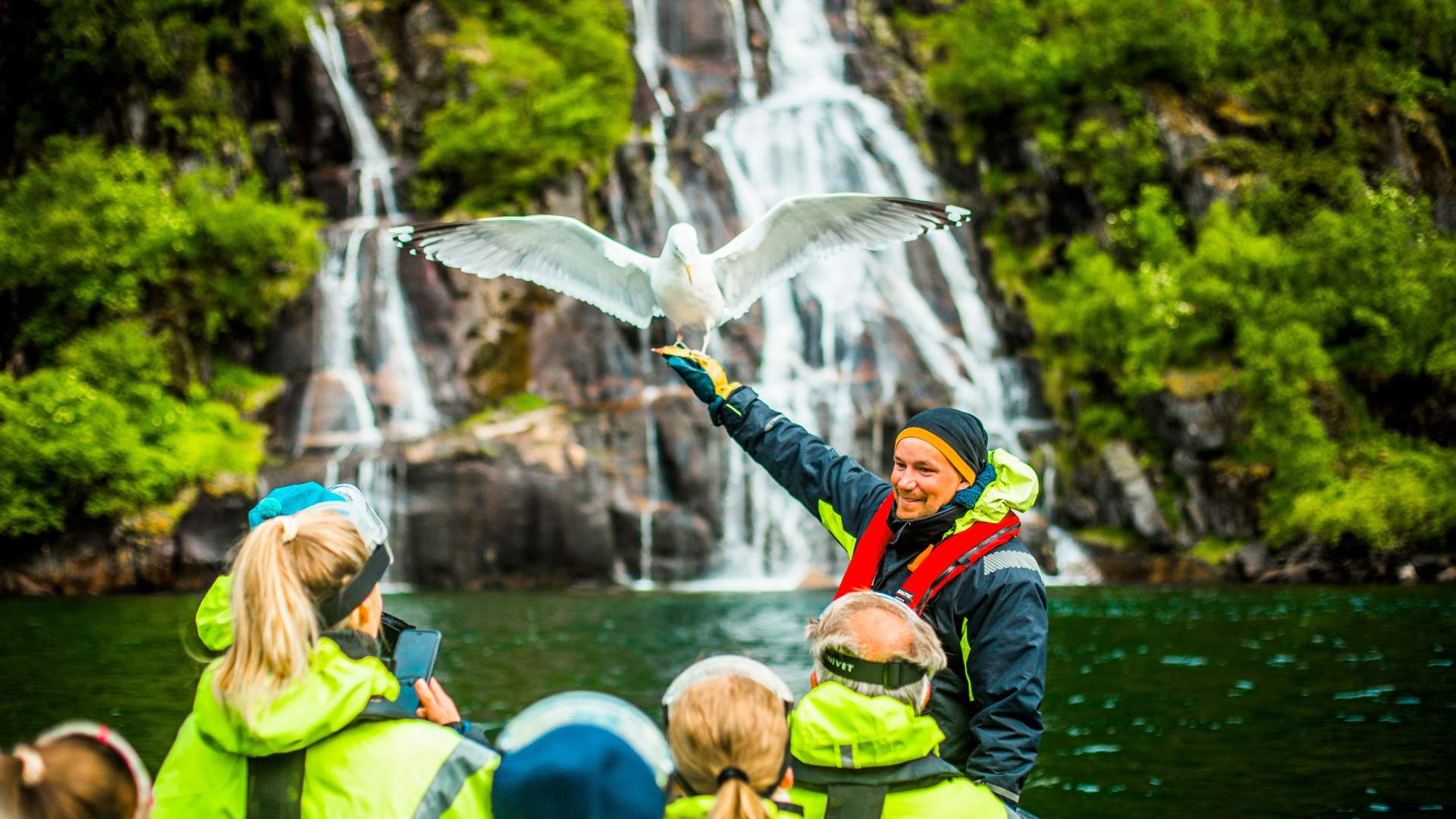 Sea Eagle Safari to Trollfjorden