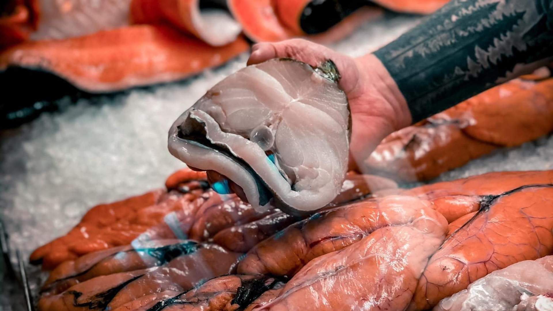 Fiskehallen - The Fish Market in Narvik