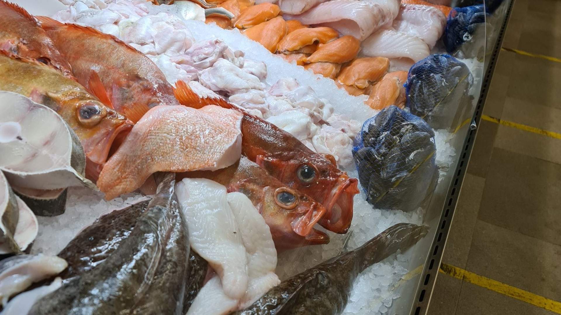 Fiskehallen - The Fish Market in Narvik