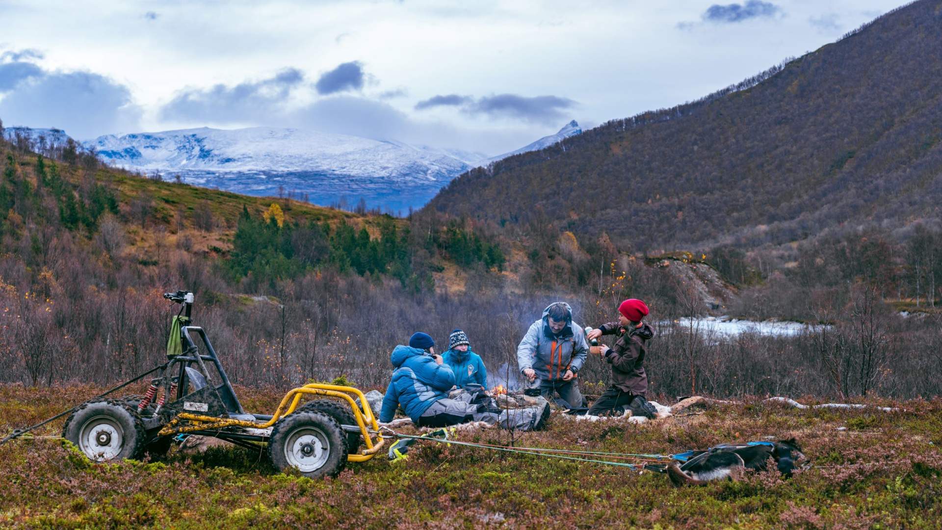 Hundeschlittenfahrt auf Rädern im Herbst - Lyngen Outdoor Experiences