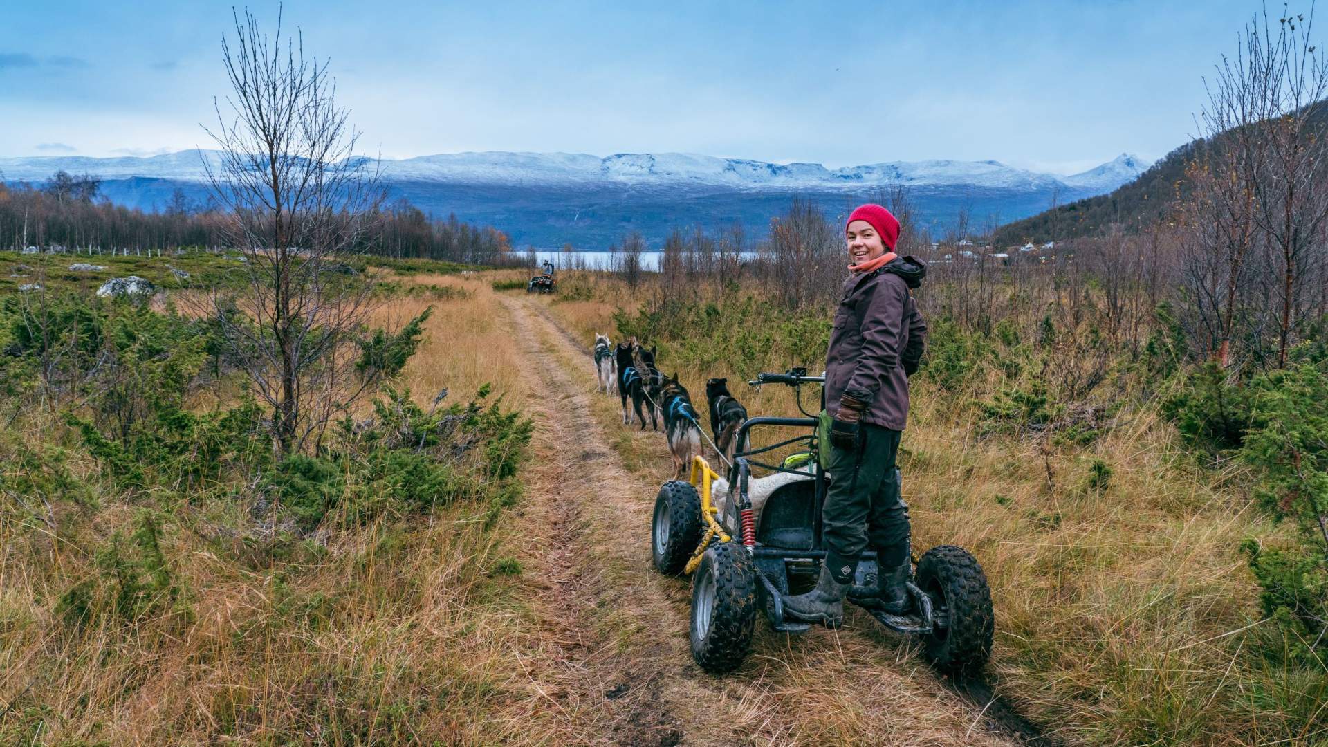 Hundeschlittenfahrt auf Rädern im Herbst - Lyngen Outdoor Experiences