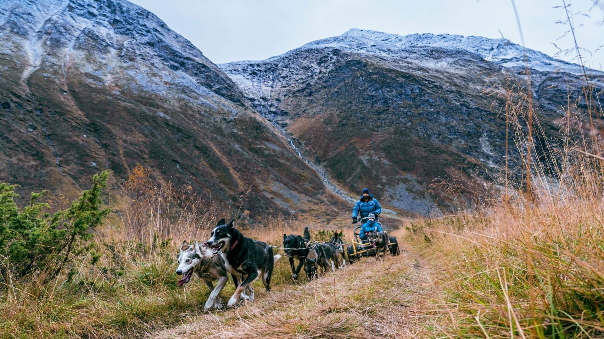 Hundeschlittenfahrt auf Rädern im Herbst - Lyngen Outdoor Experiences