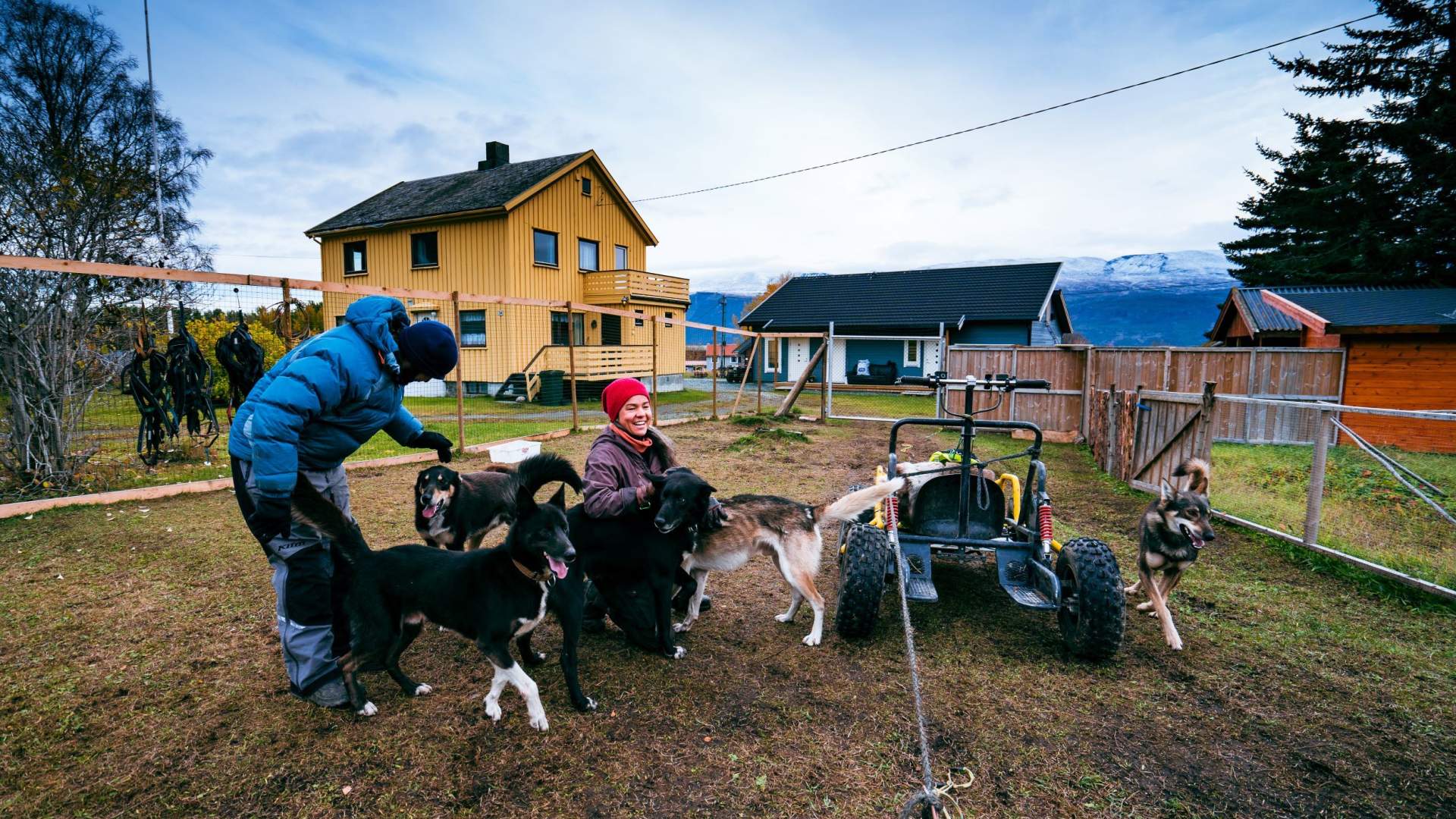 Hundeschlittenfahrt auf Rädern im Herbst - Lyngen Outdoor Experiences