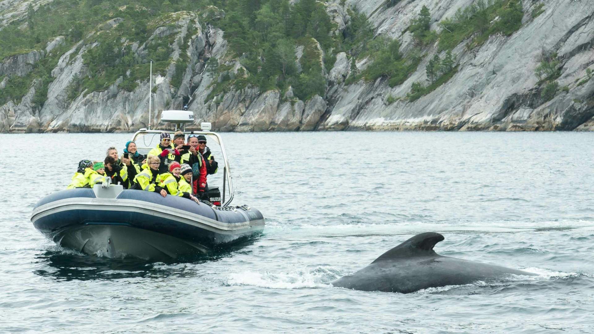 RIB-turer med Meløy Adventure