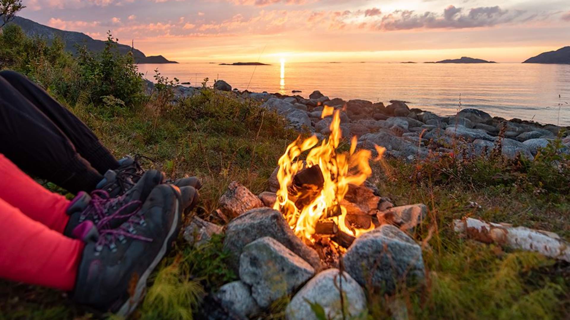 Summer Night Campfire