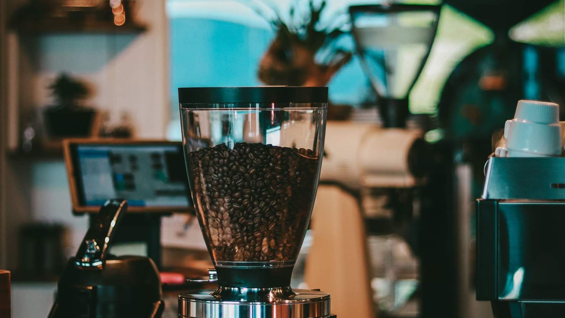 Senja Roasters Café