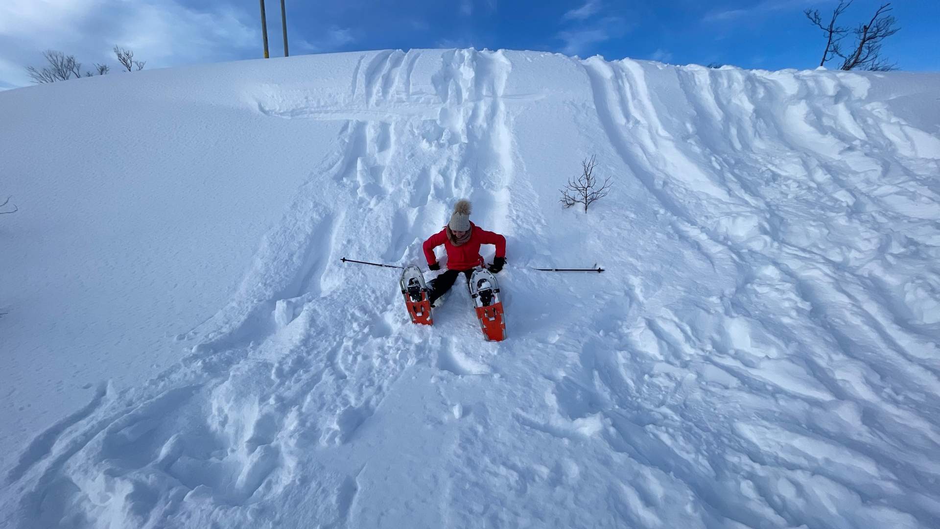 En vakker, miljøvennlig trugetur i naturskjønt landskap med Tesla X