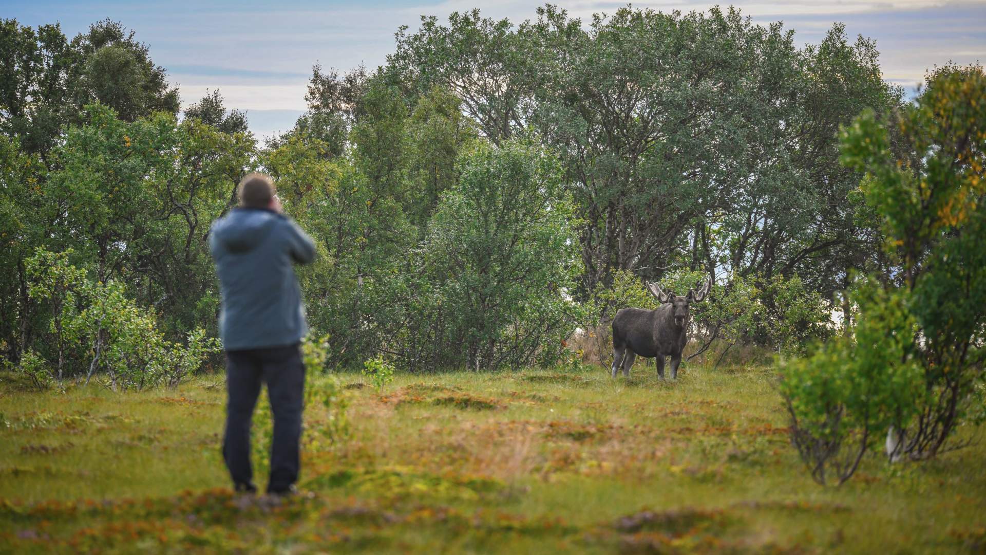 Vesterålen Tours