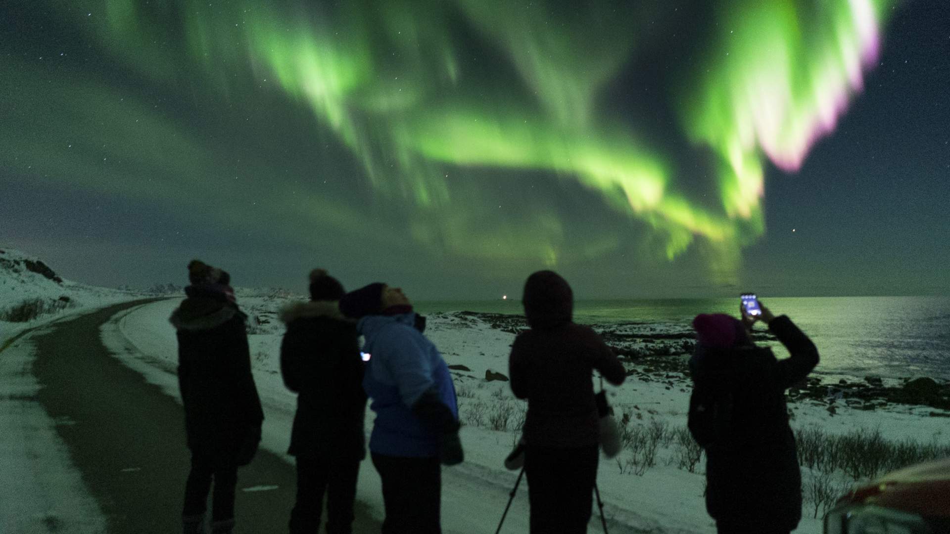 Northern lights safari with Vesterålen Tours