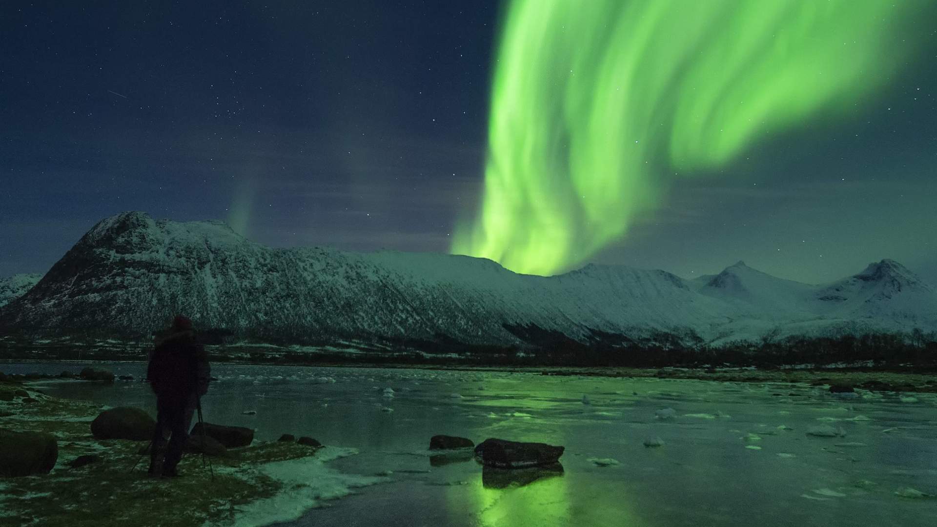 Northern lights safari with Vesterålen Tours