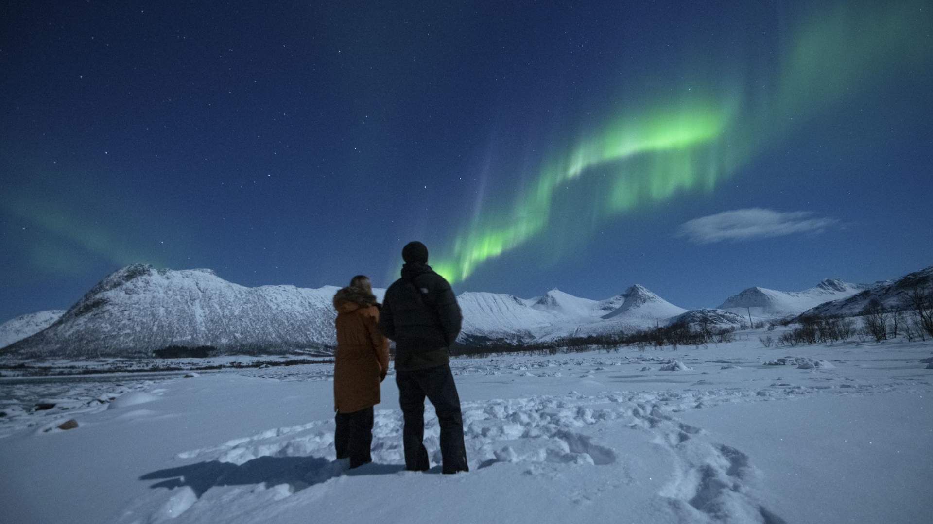 Northern lights safari with Vesterålen Tours