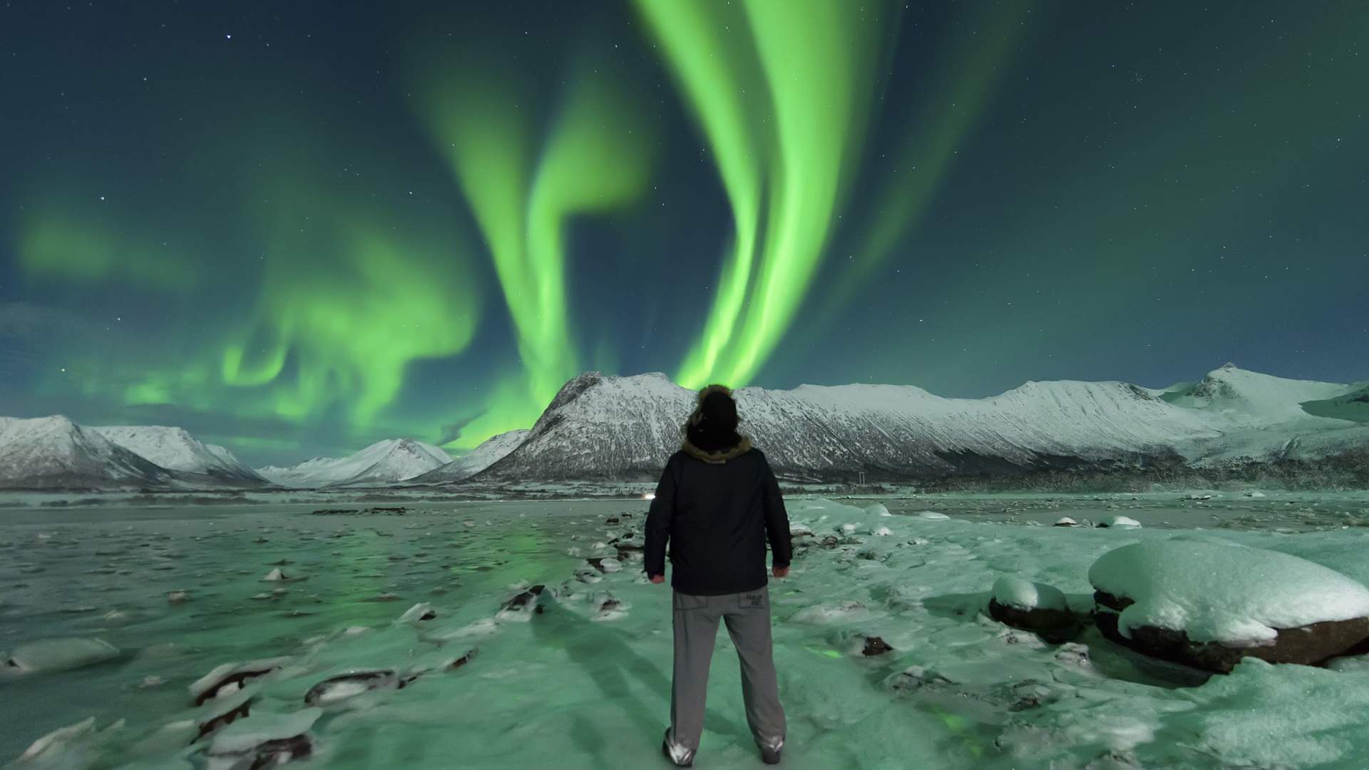 Northern lights safari with Vesterålen Tours