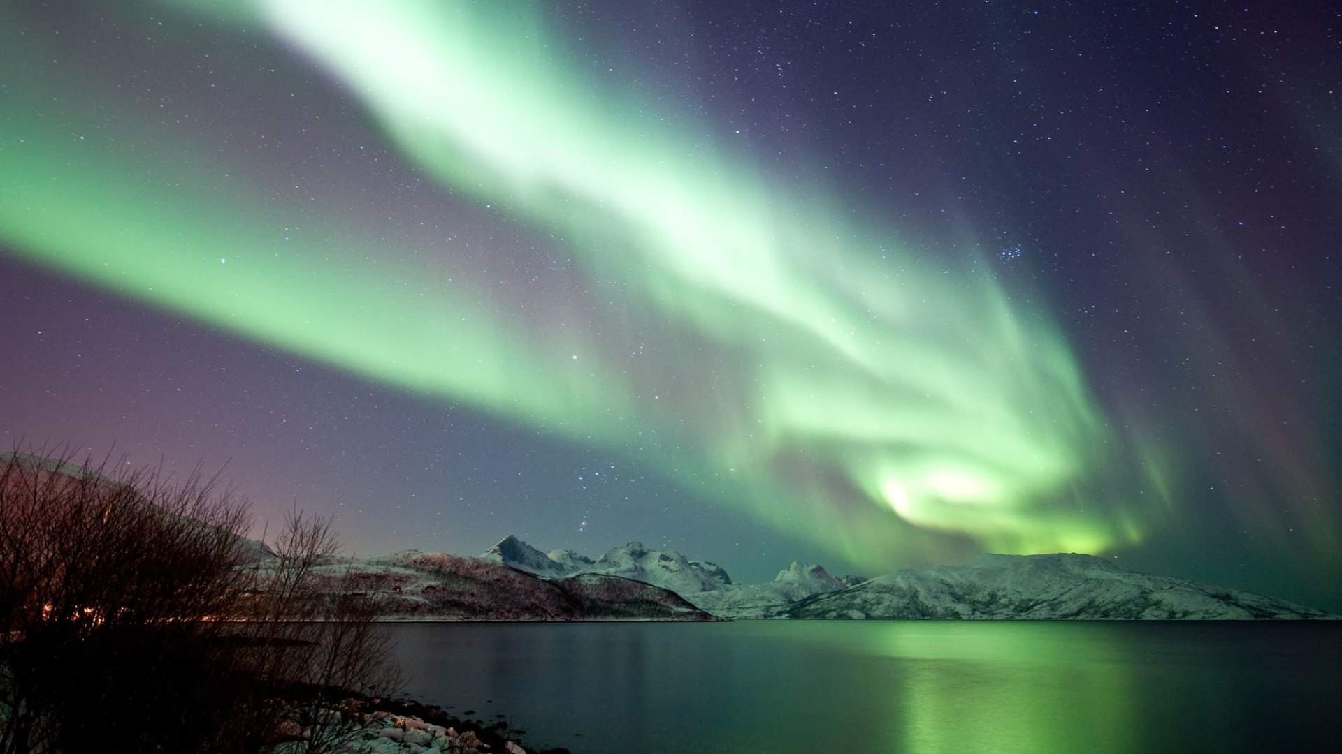 Northern Lights Chase