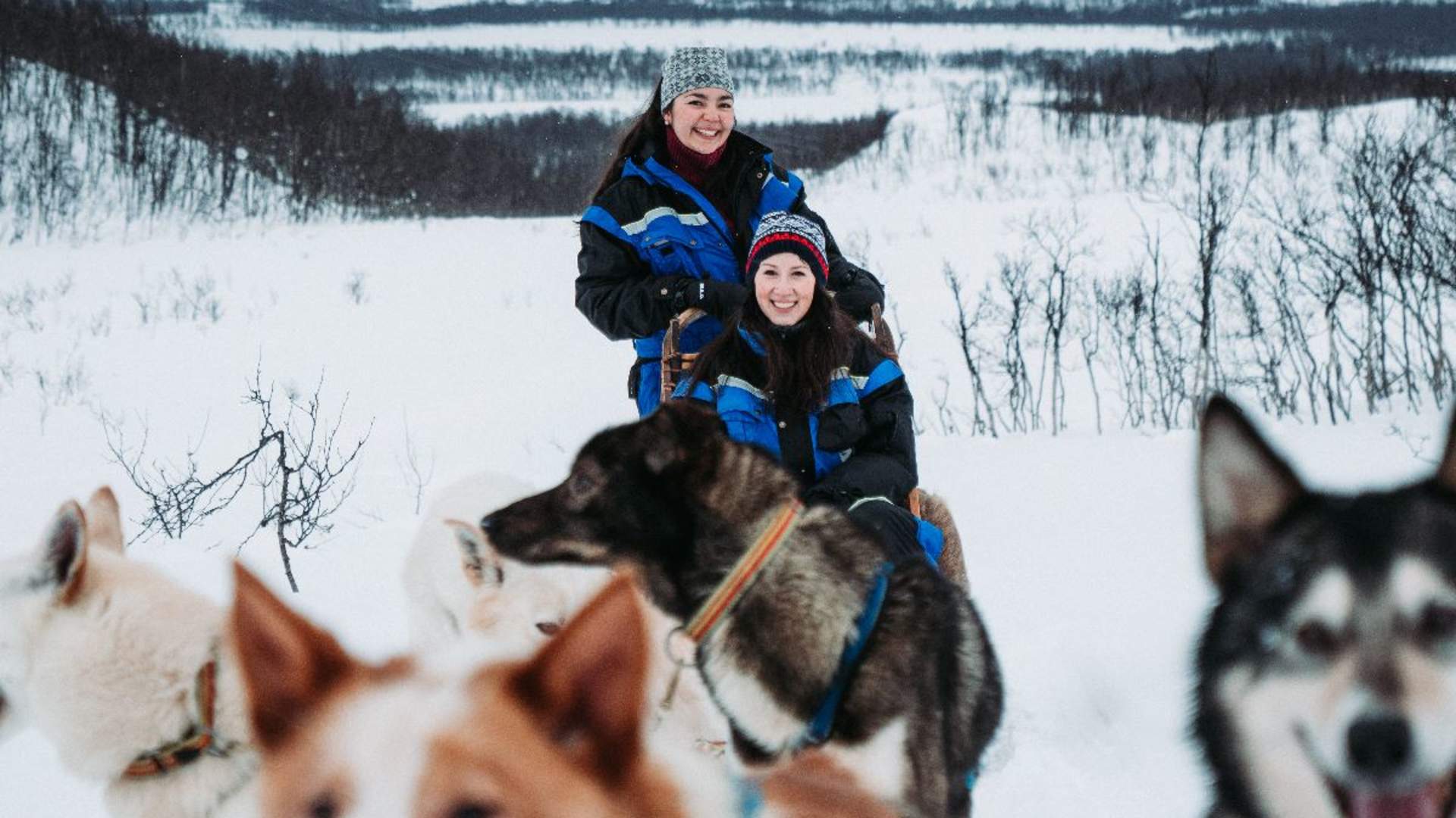 Tromsø Dog Sledding - morning