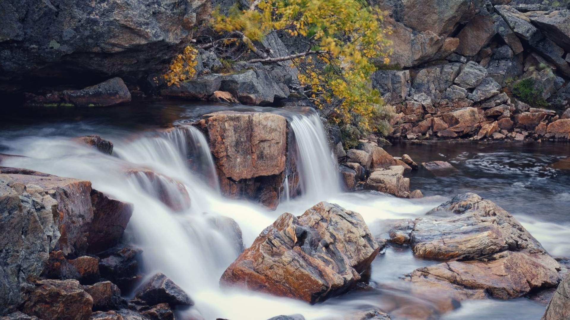 Beste bevarte hemmelighet: Fjord og alper trugetur