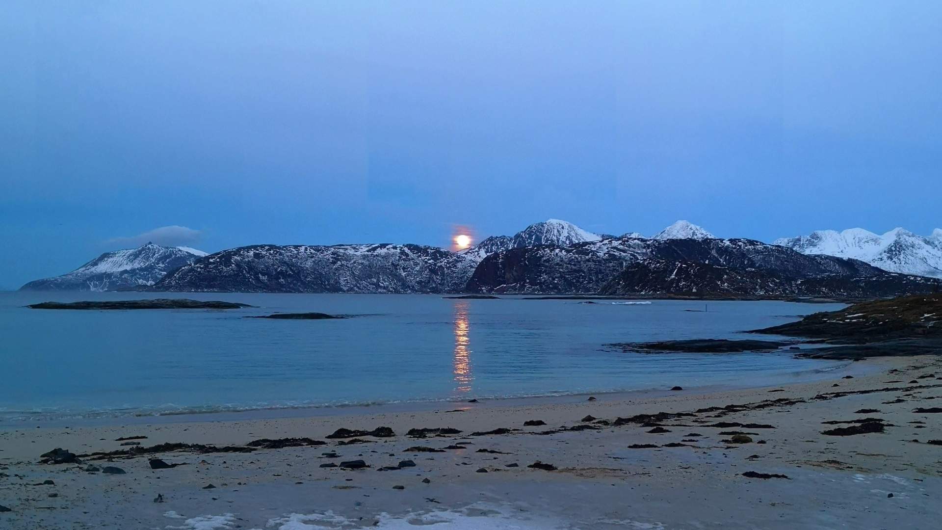 Liten gruppe Arktisk fjordtur