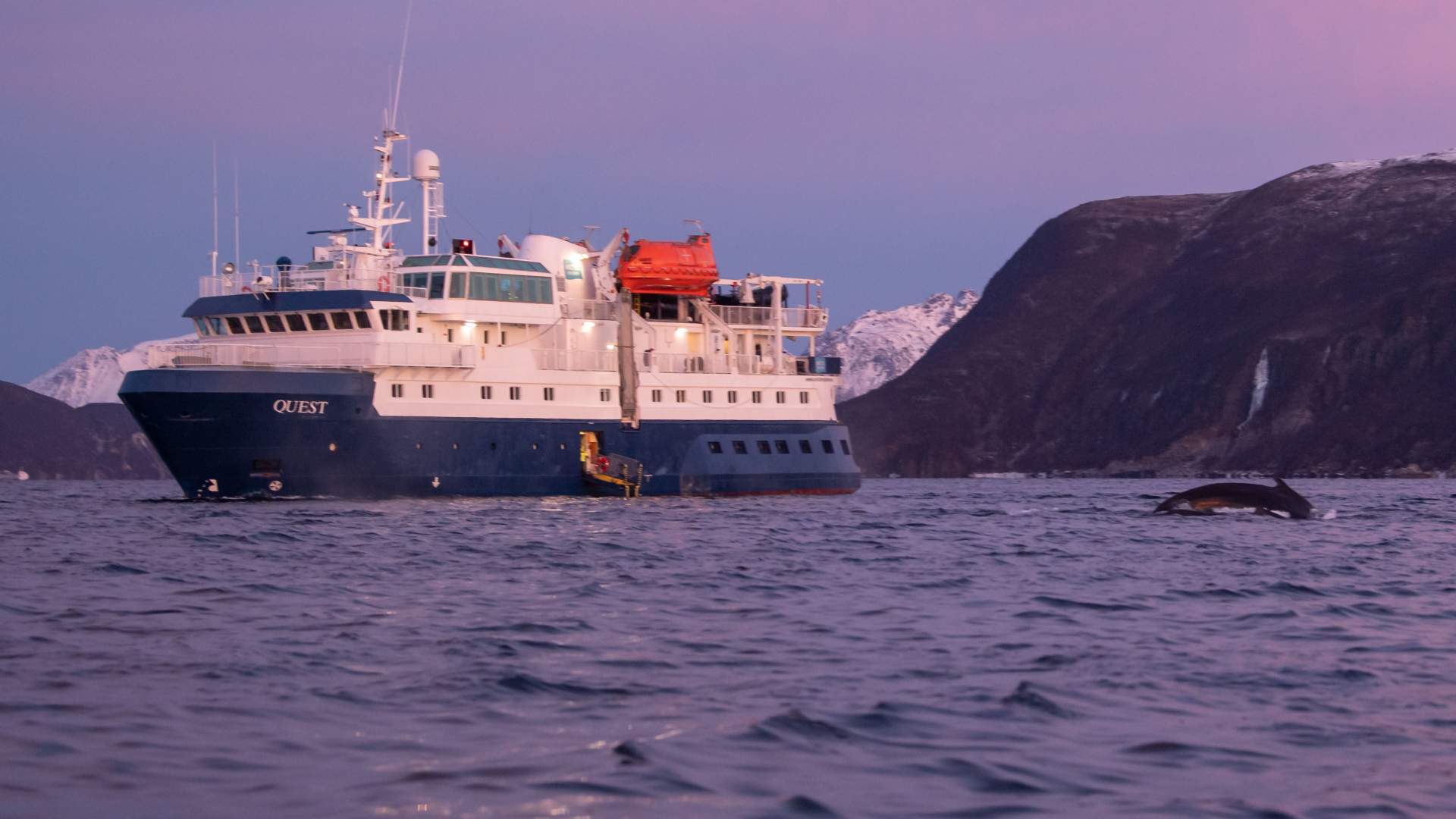 Overnight Northern Lights & Whale Watching Expedition