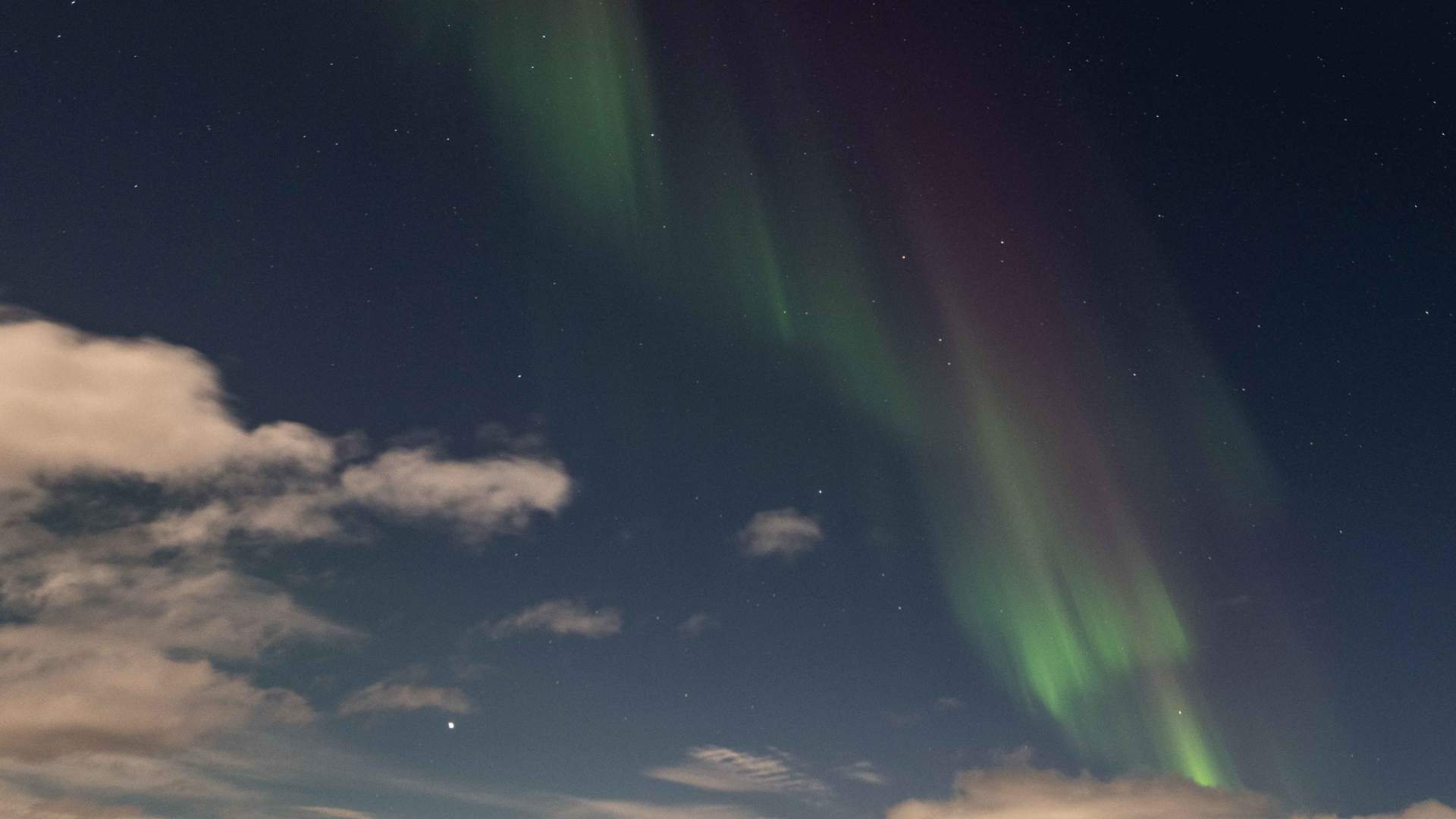 Overnight Northern Lights & Whale Watching Expedition