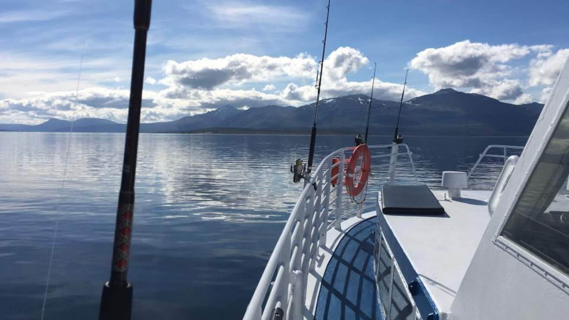 Polar fjord- og fisketur fra Tromsø med båt