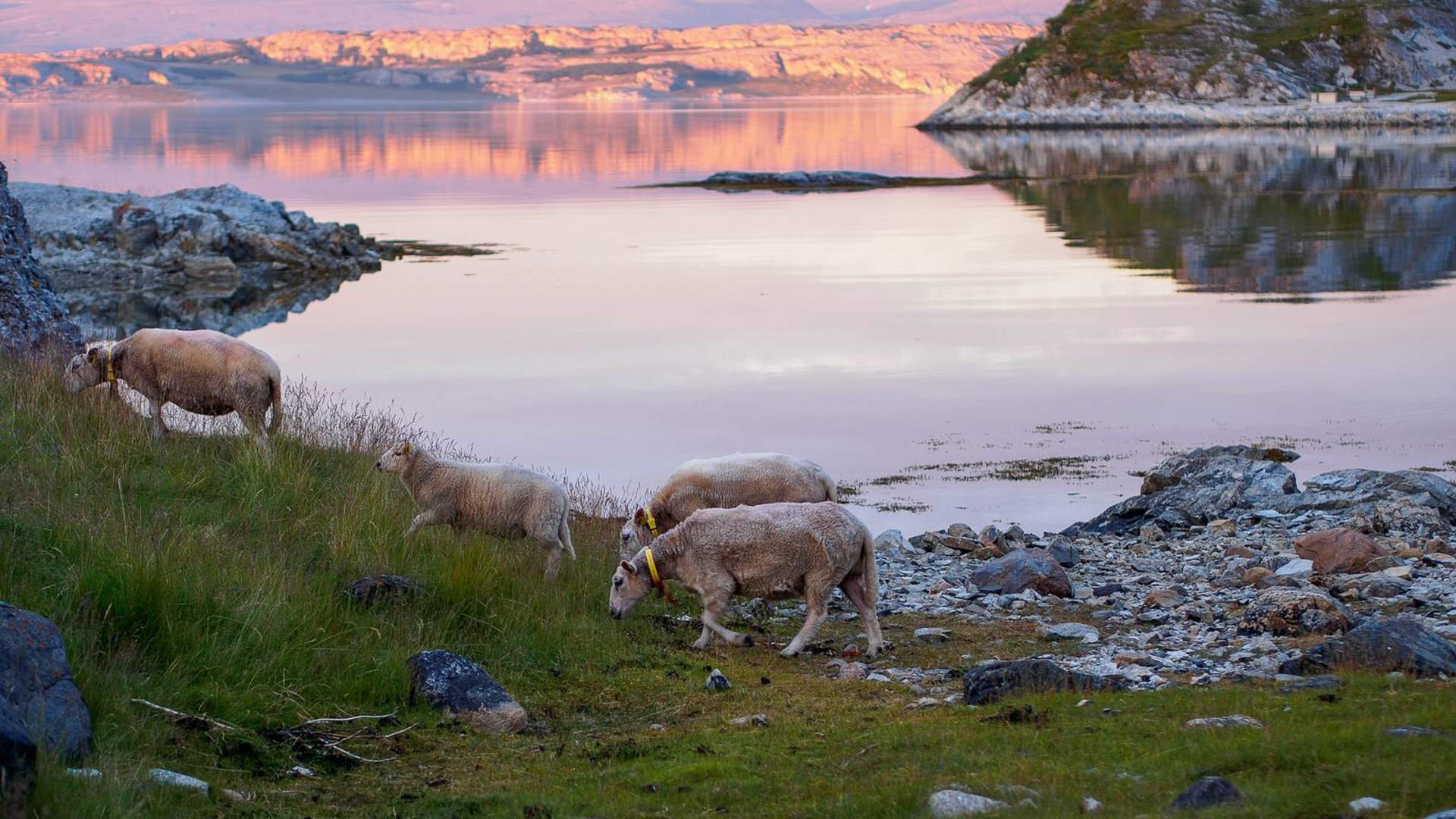 Polar Fjord Adventure by Minibus