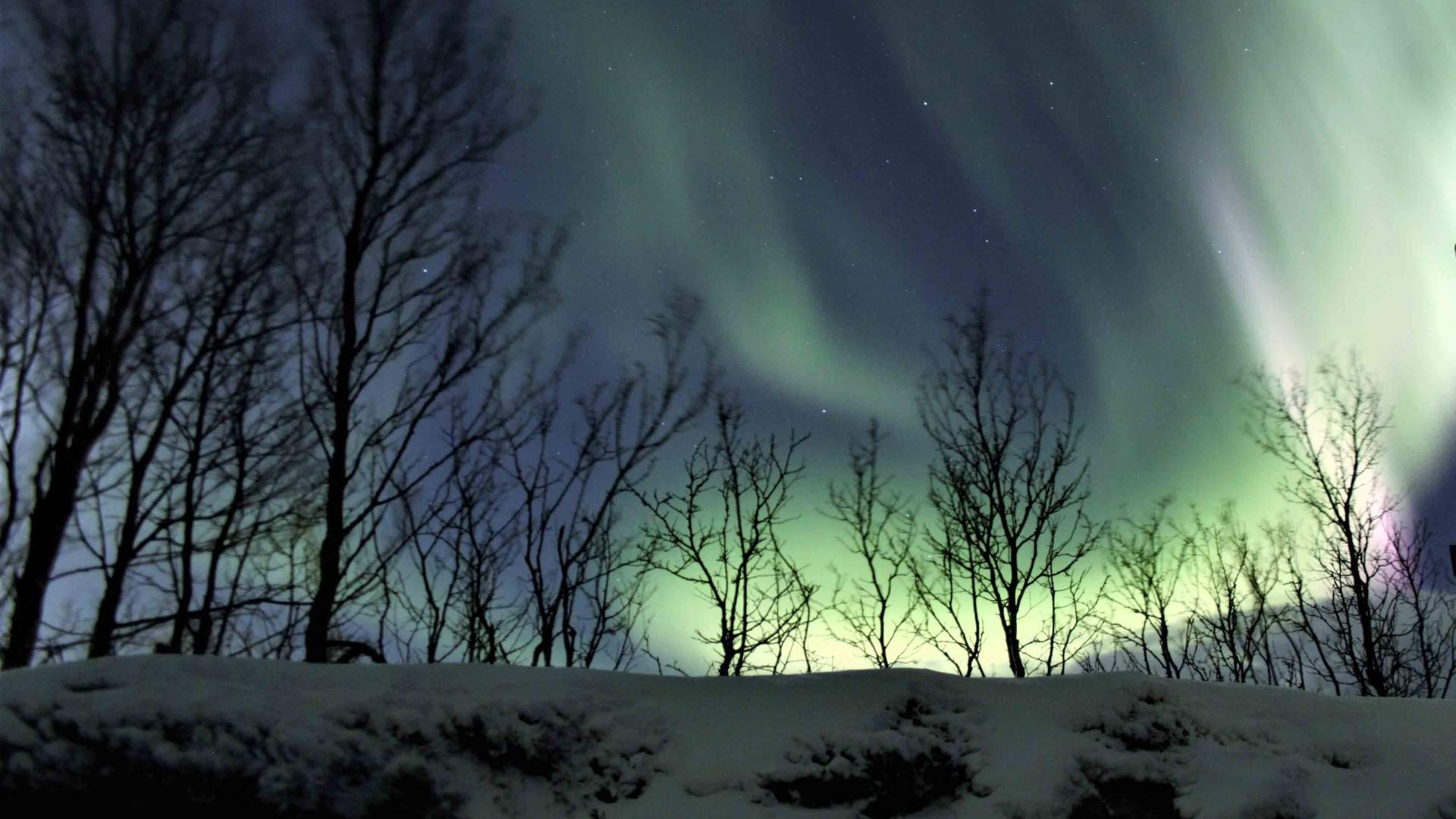 Polar northern light chase from Tromsø by minibus