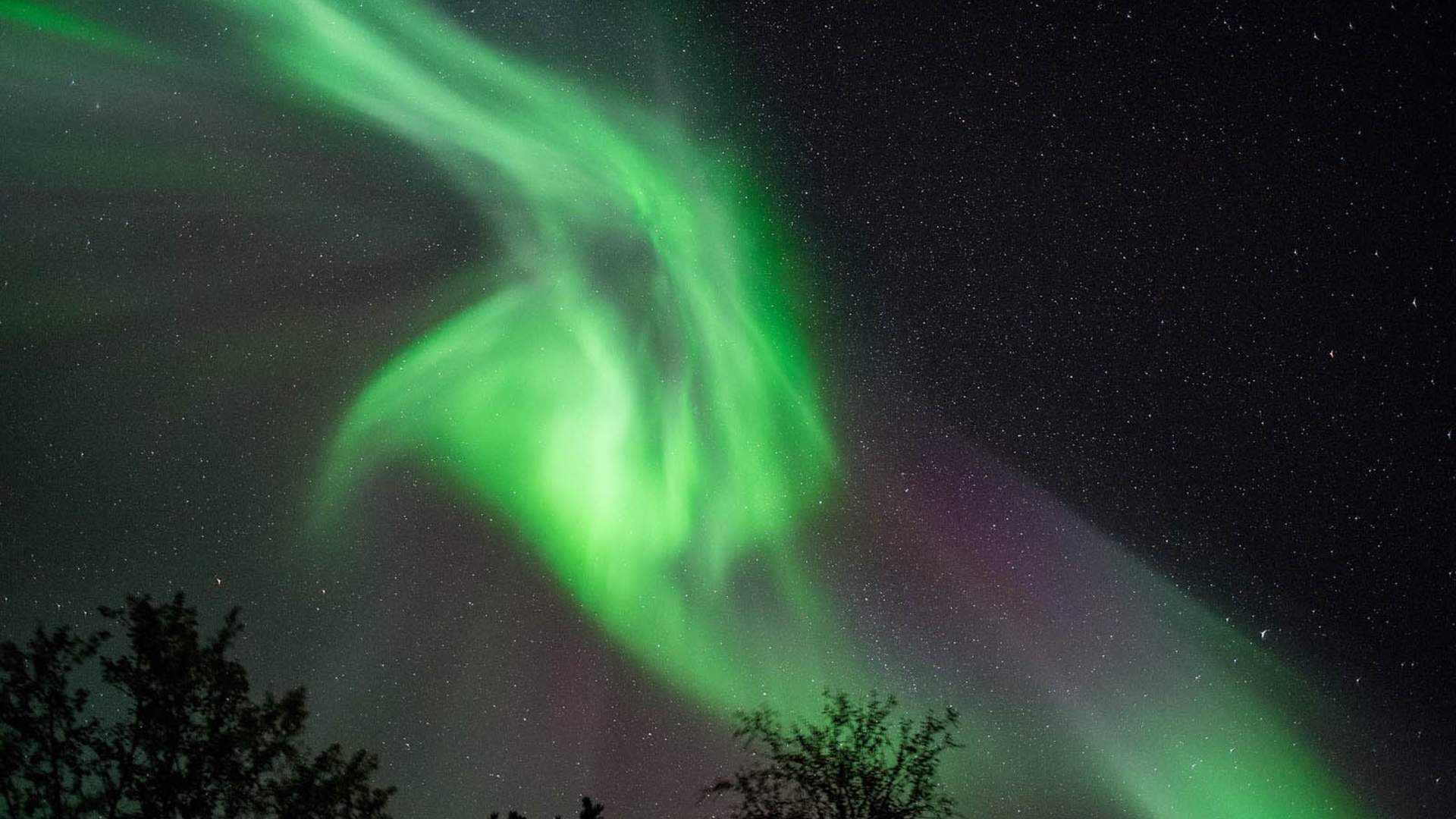 Polar northern light chase from Tromsø by minibus