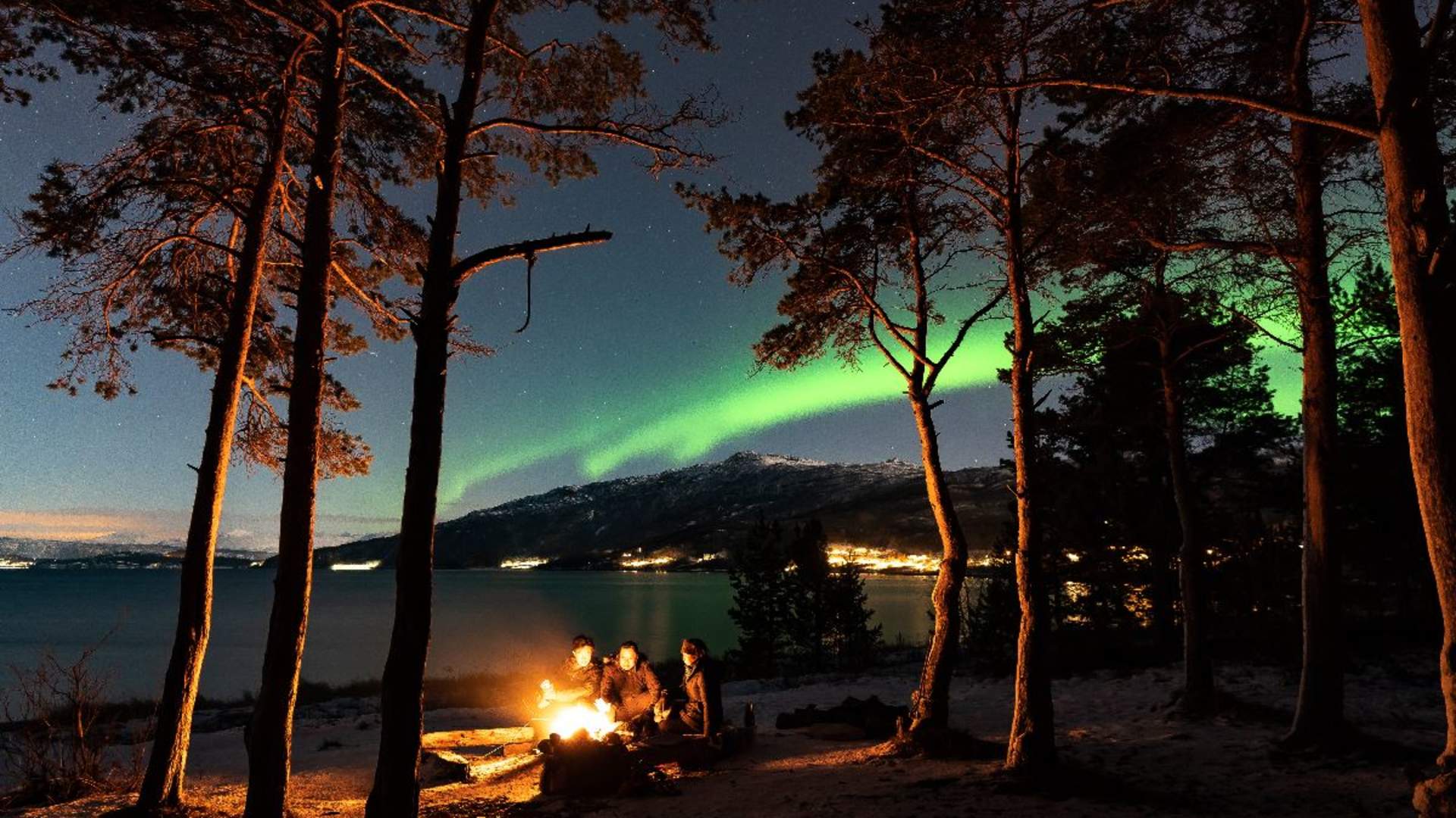 Authentic Northern Lights Evening - Small groups