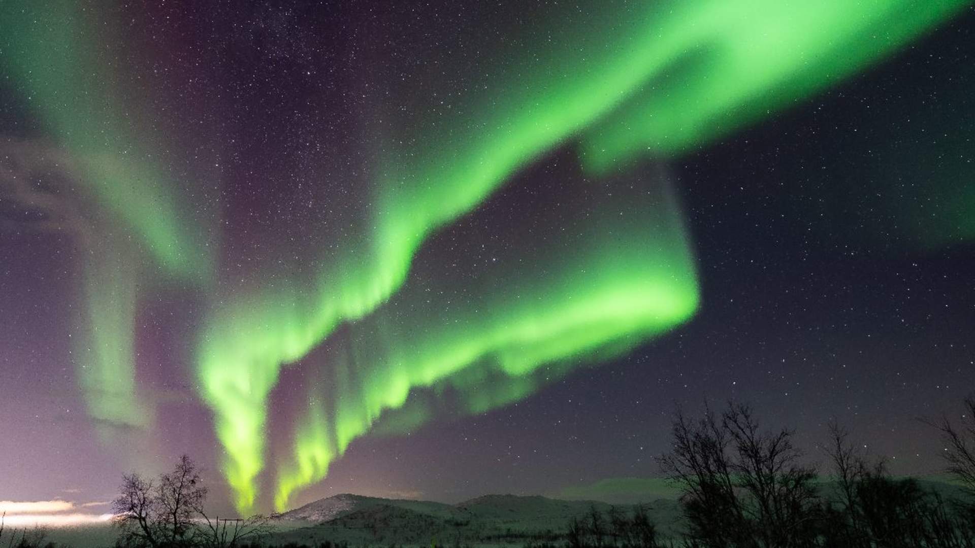 Authentic Northern Lights Evening - Small groups