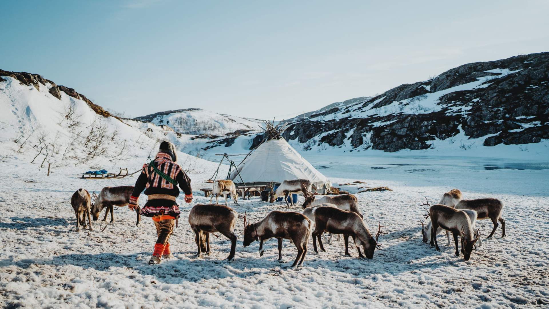 Arctic Fjords and Reindeer Experience &#8211; Small group tour