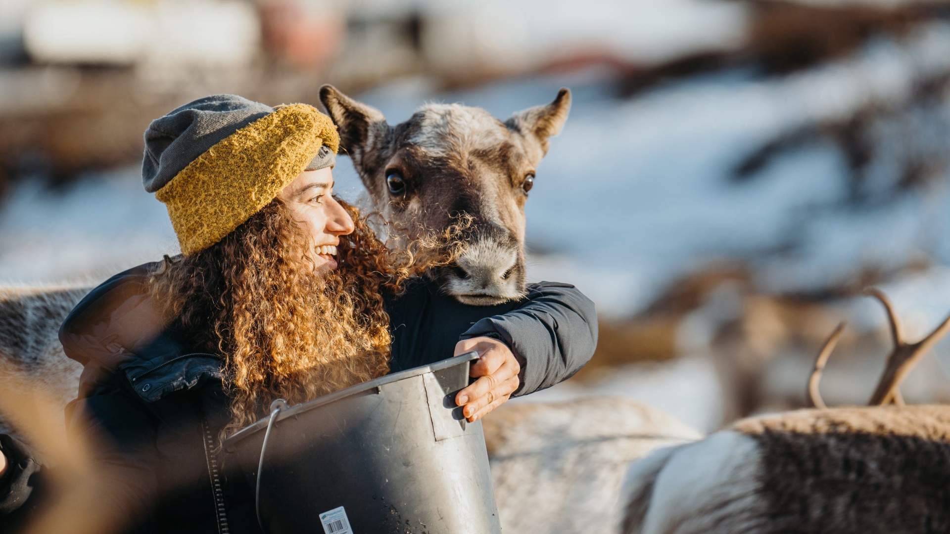 Arctic Fjords and Reindeer Experience &#8211; Small group tour