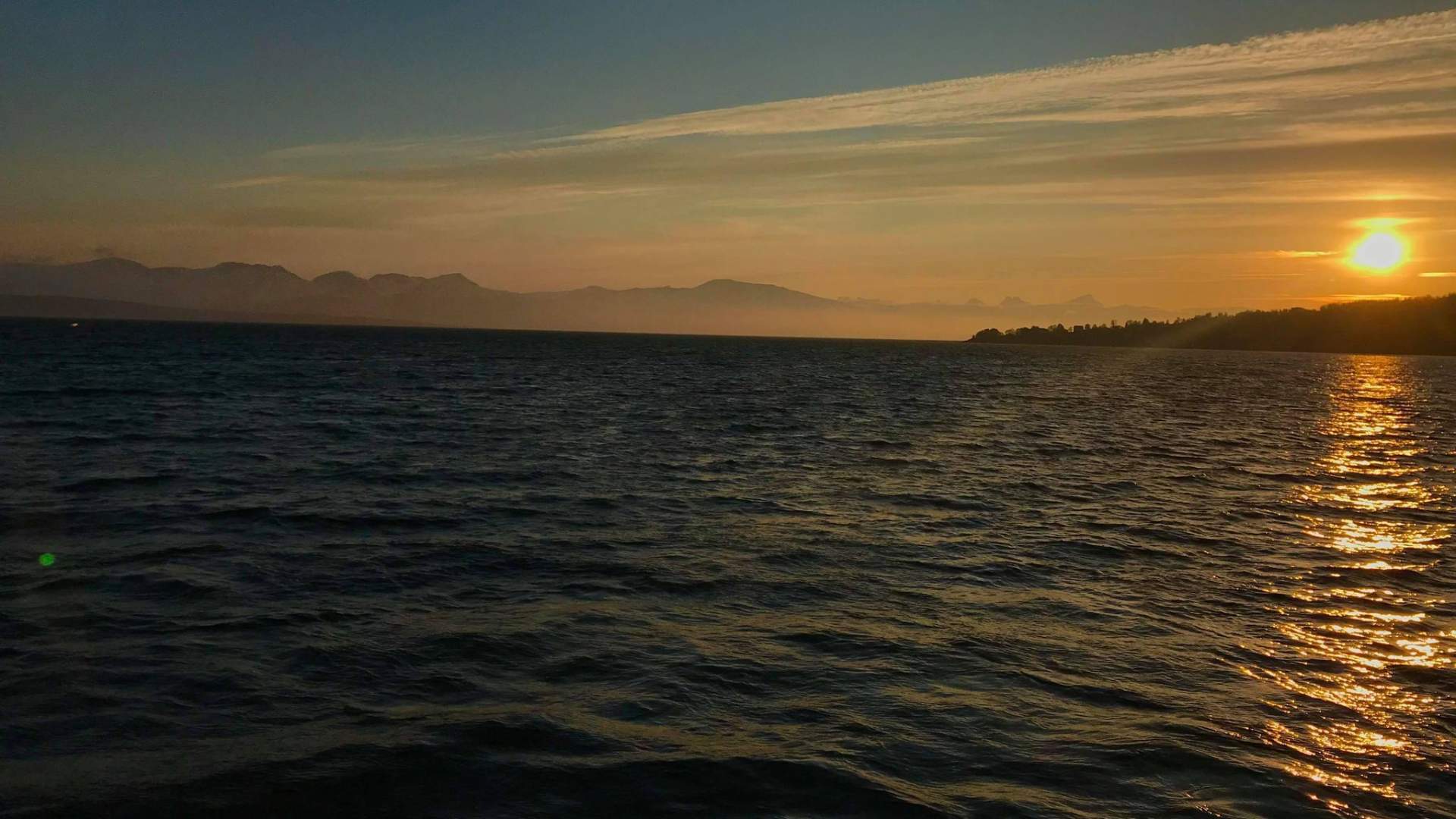 Polar Midnight Cruise from Tromsø