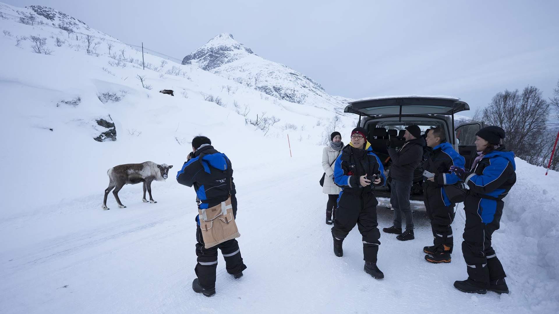 Fjord Expedition &#8211; Arctic Adventure Awaits