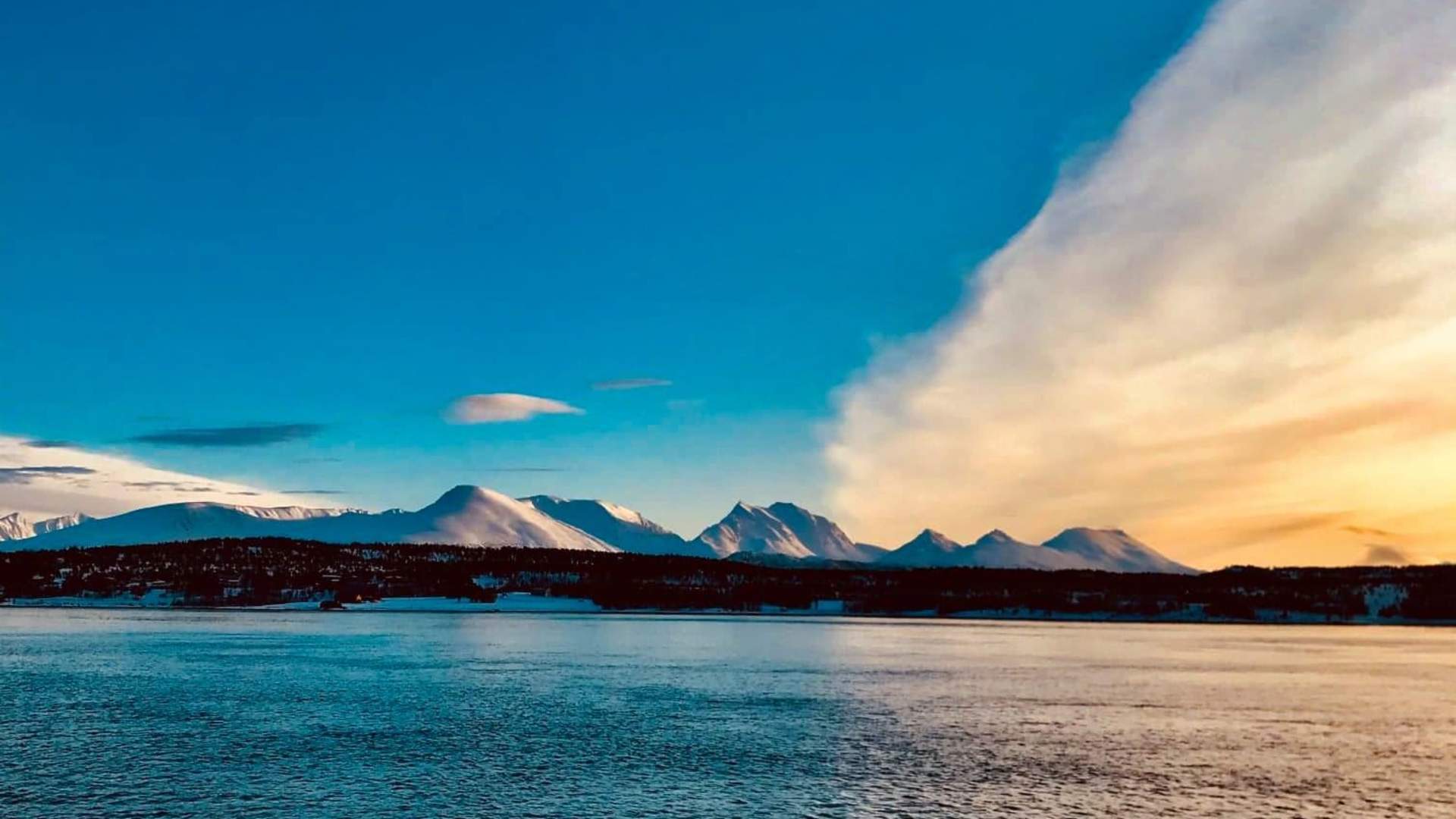 Polar fjord- og fisketur fra Tromsø med båt